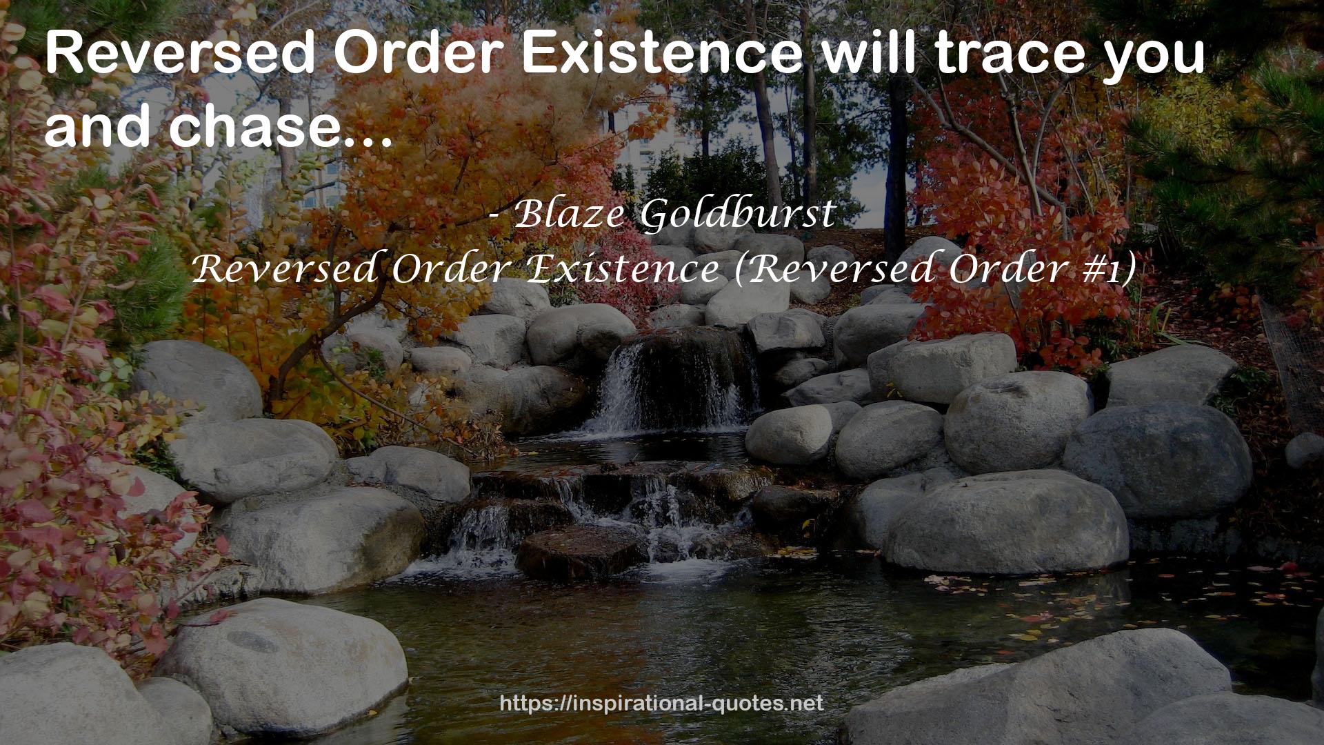 Reversed Order Existence (Reversed Order #1) QUOTES