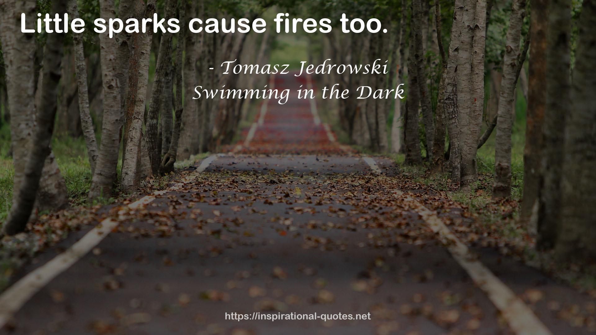 Swimming in the Dark QUOTES