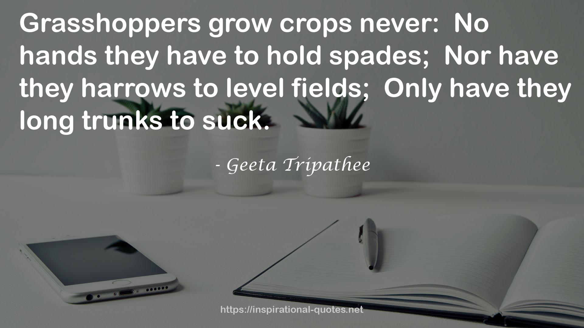 Geeta Tripathee QUOTES