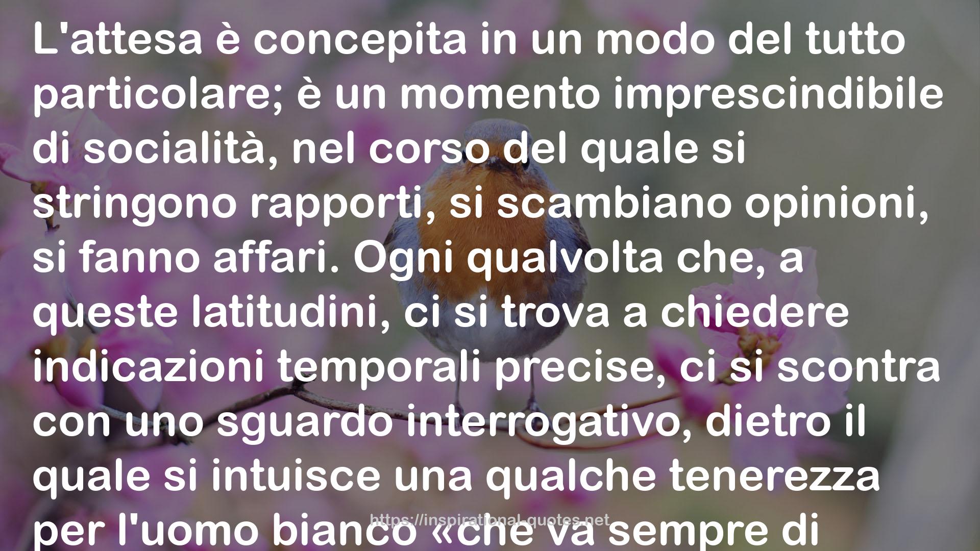 Stefano Liberti QUOTES