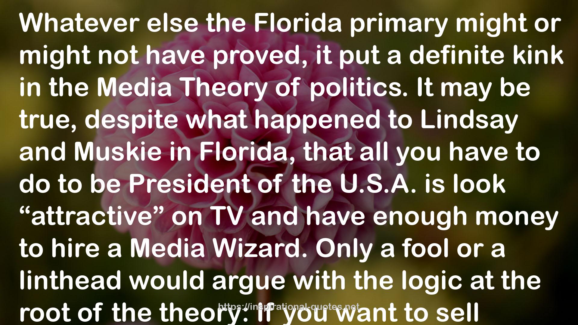 the Media Theory  QUOTES