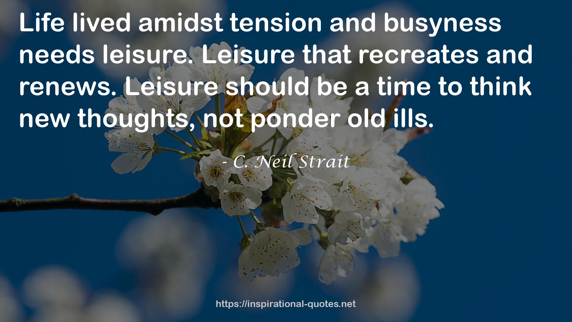 C. Neil Strait QUOTES