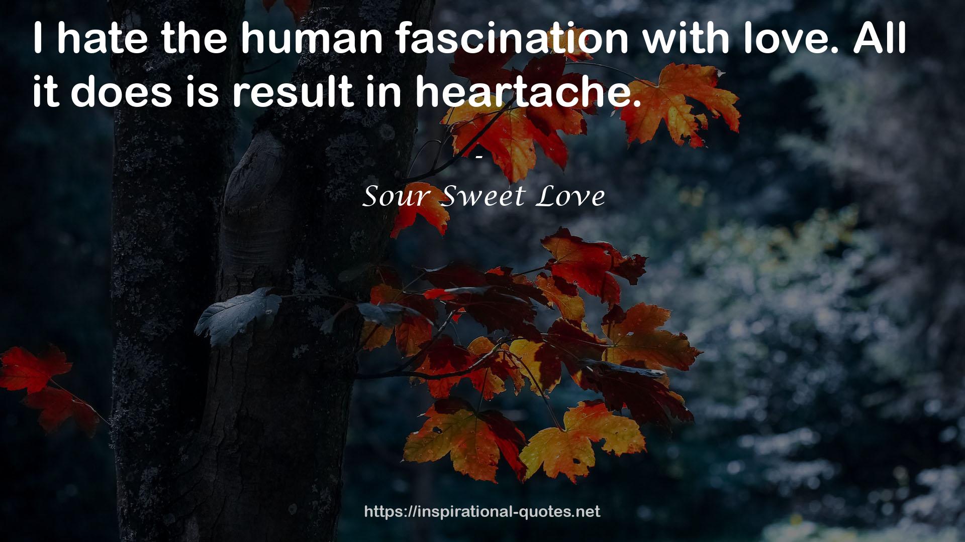 Sour Sweet Love QUOTES
