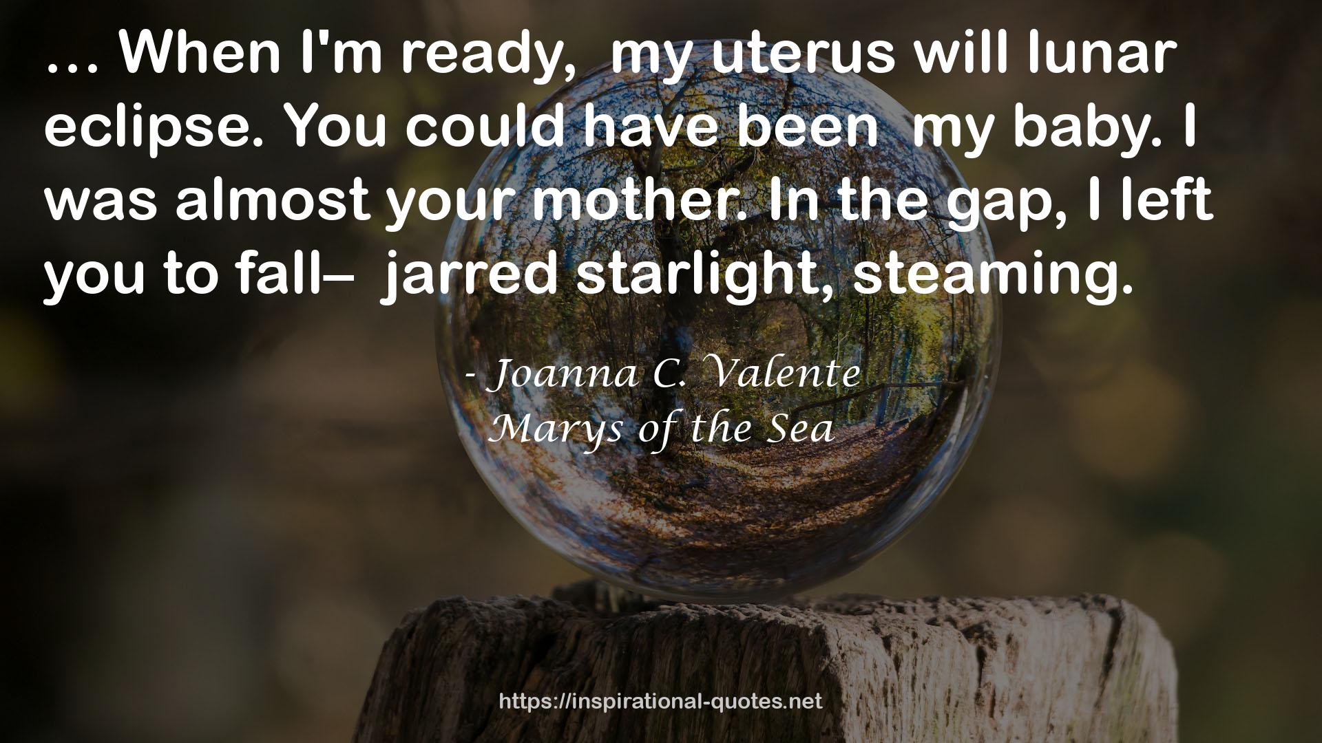 Joanna C. Valente QUOTES