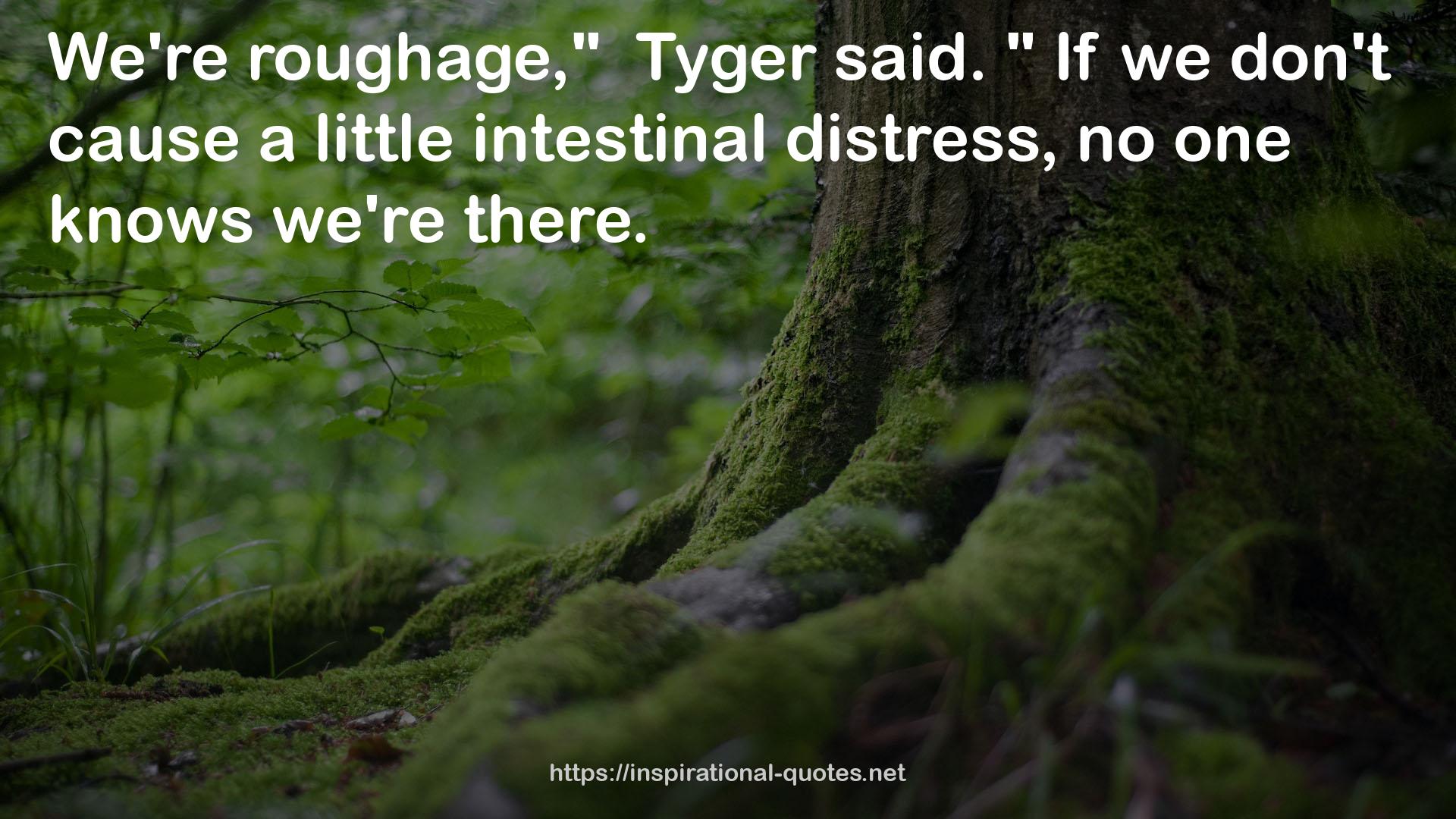 Tyger  QUOTES