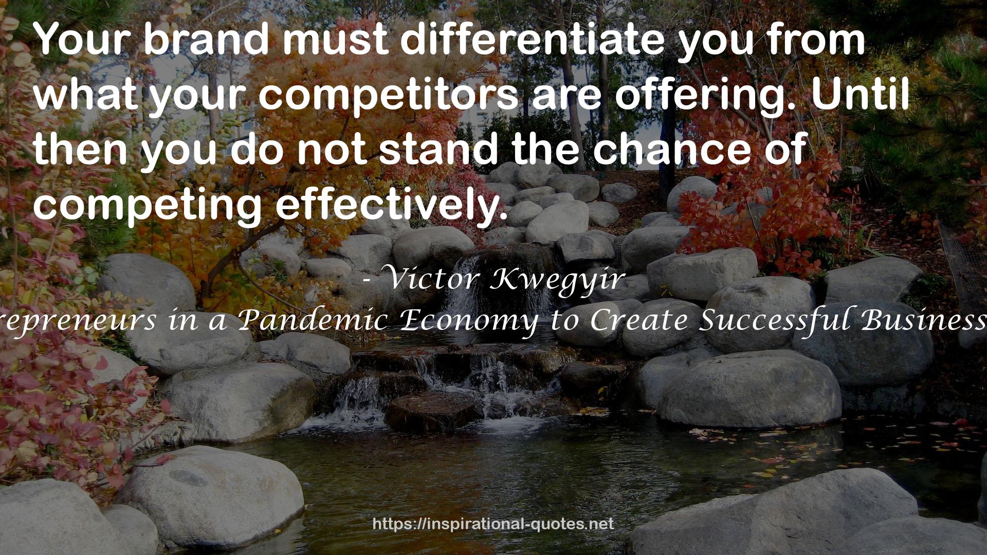 Opportunities in the New Economy and Beyond: Birthing Entrepreneurs in a Pandemic Economy to Create Successful Businesses and New Wealth (Pathway to business success series Book 7) QUOTES