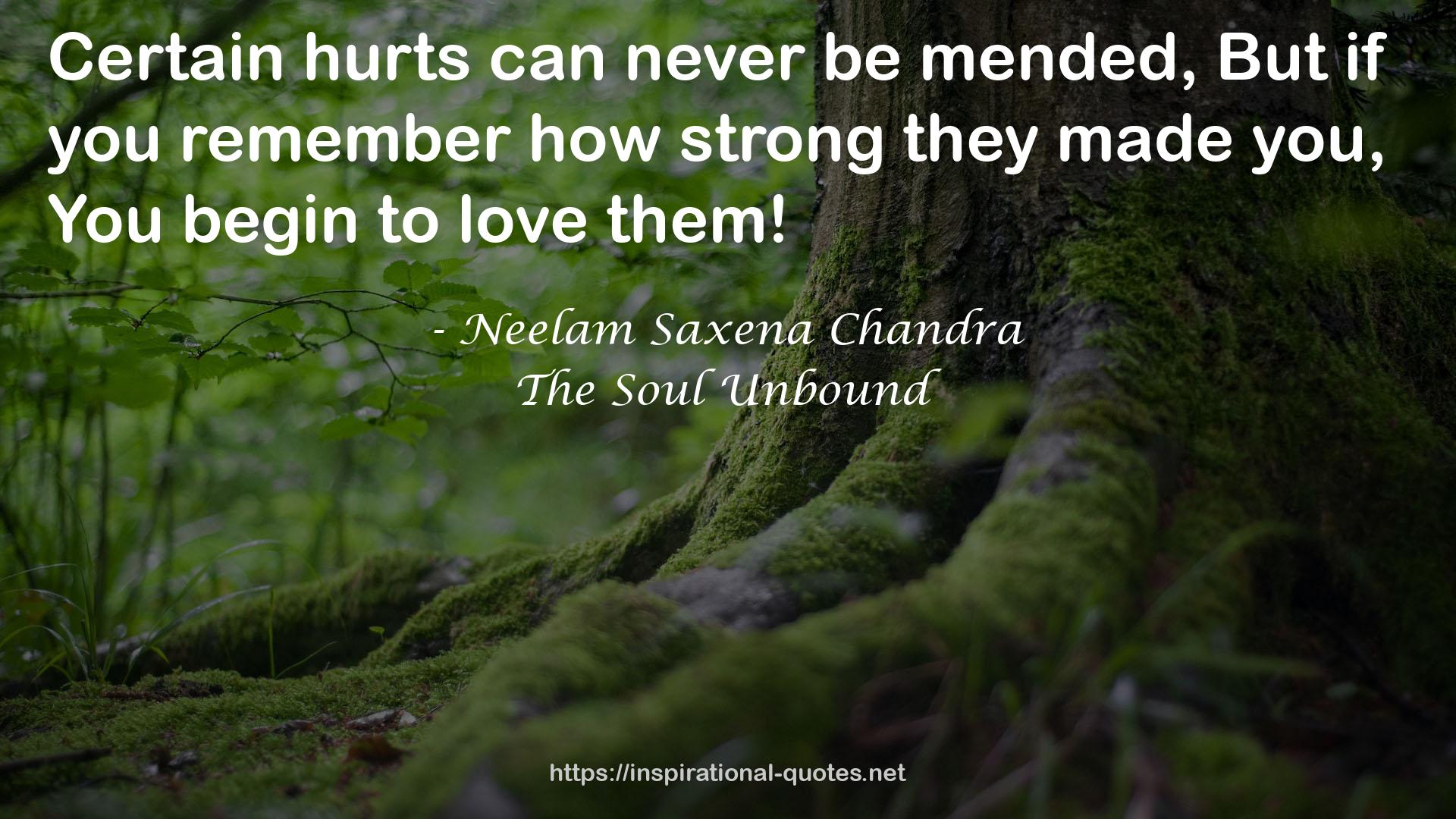 The Soul Unbound QUOTES