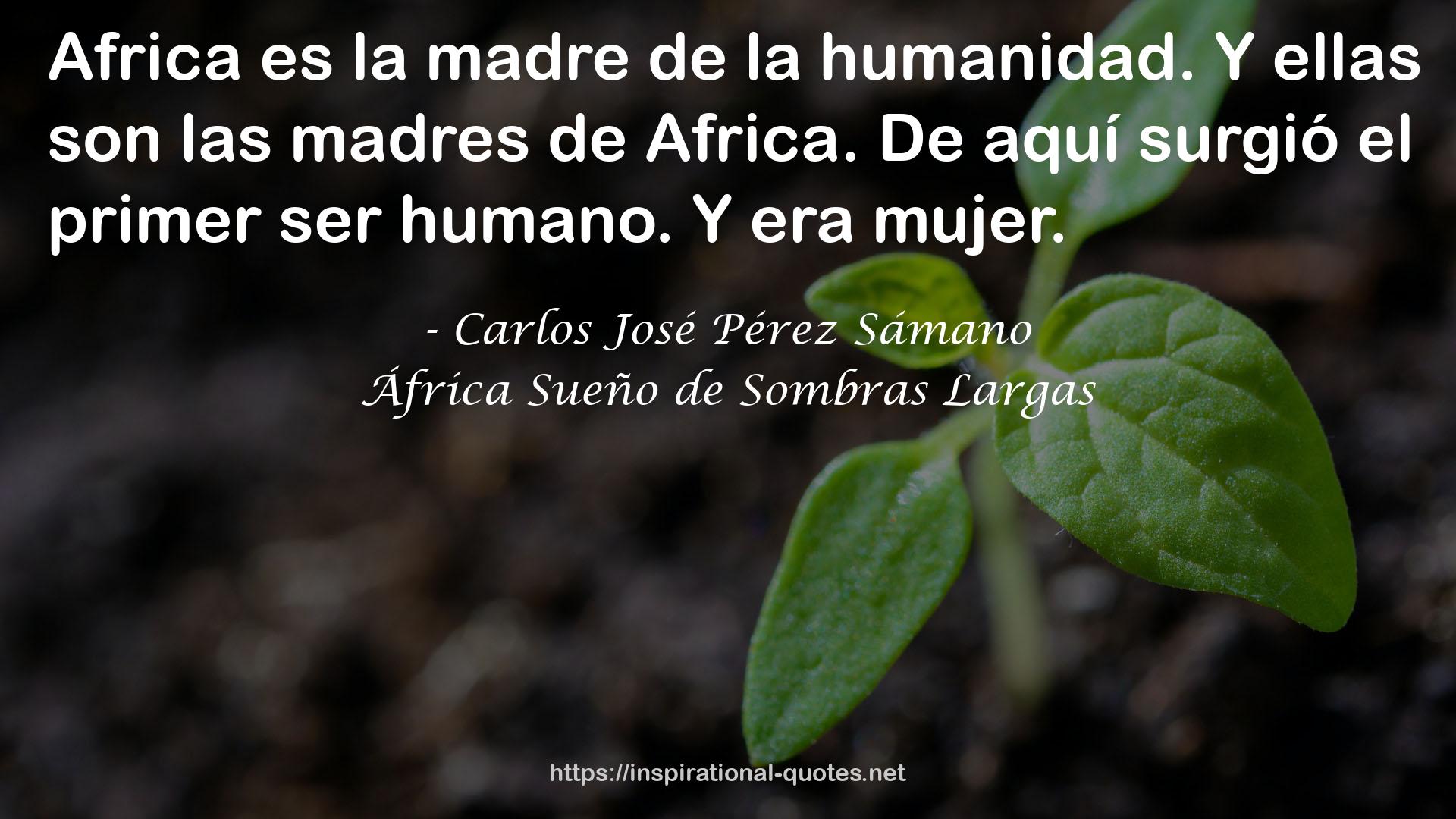 Carlos José Pérez Sámano QUOTES