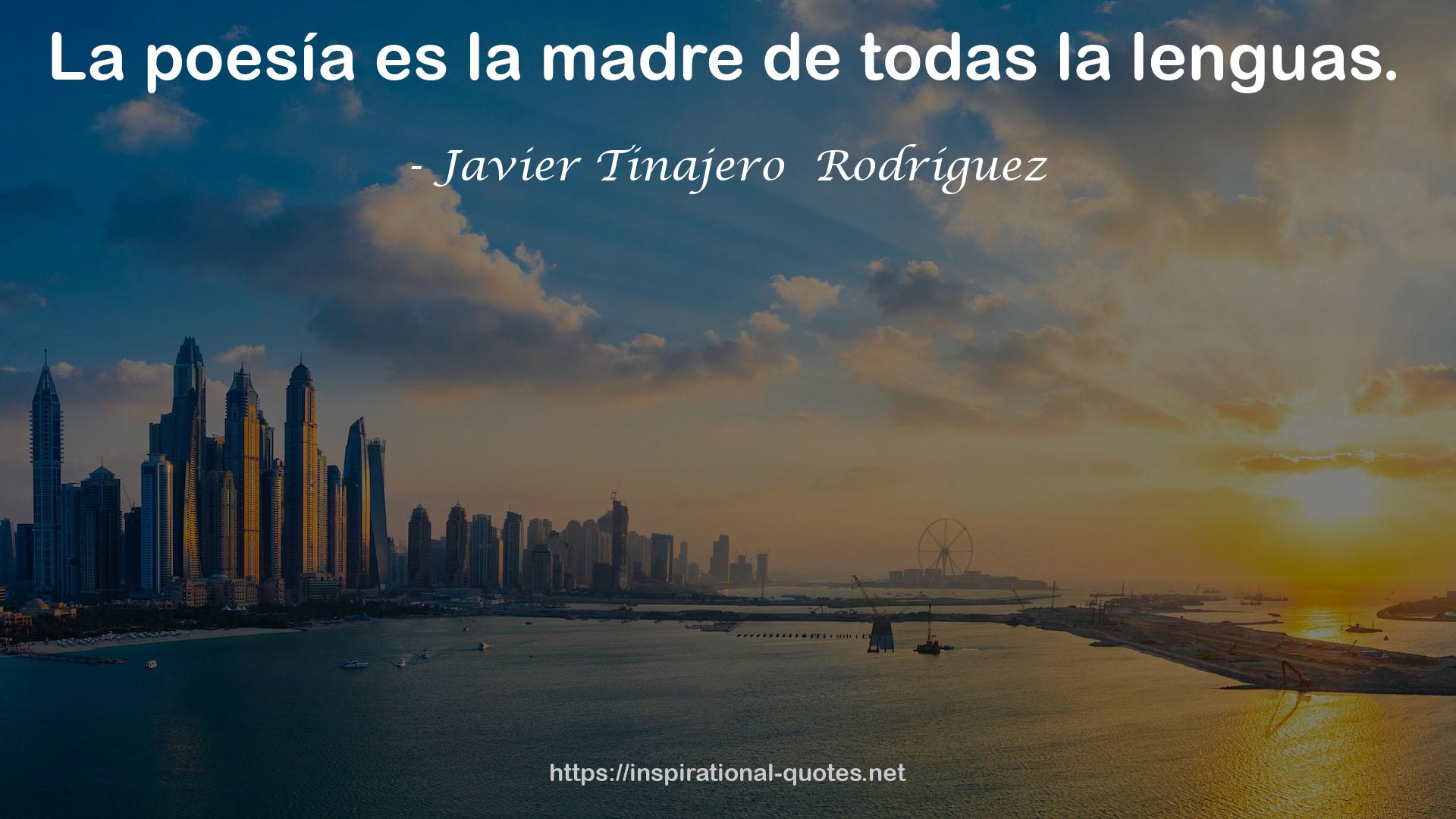 Javier Tinajero  Rodríguez QUOTES