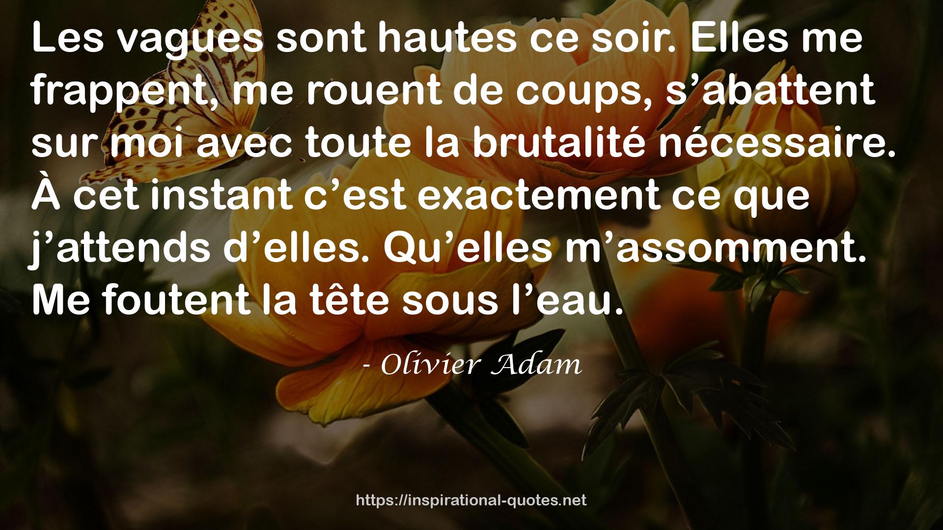 Olivier Adam QUOTES