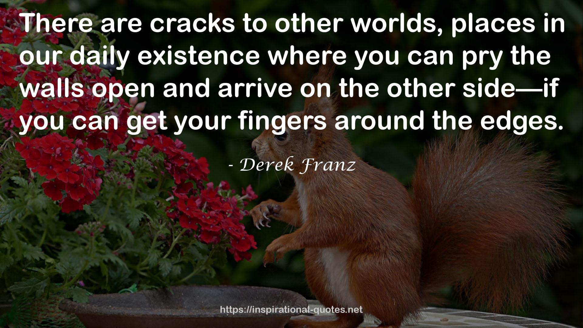 Derek Franz QUOTES