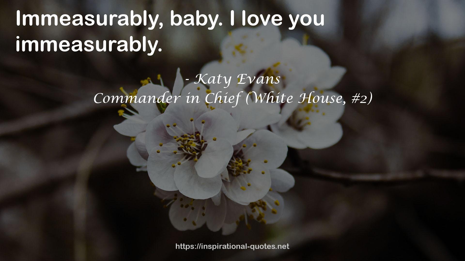 Commander in Chief (White House, #2) QUOTES