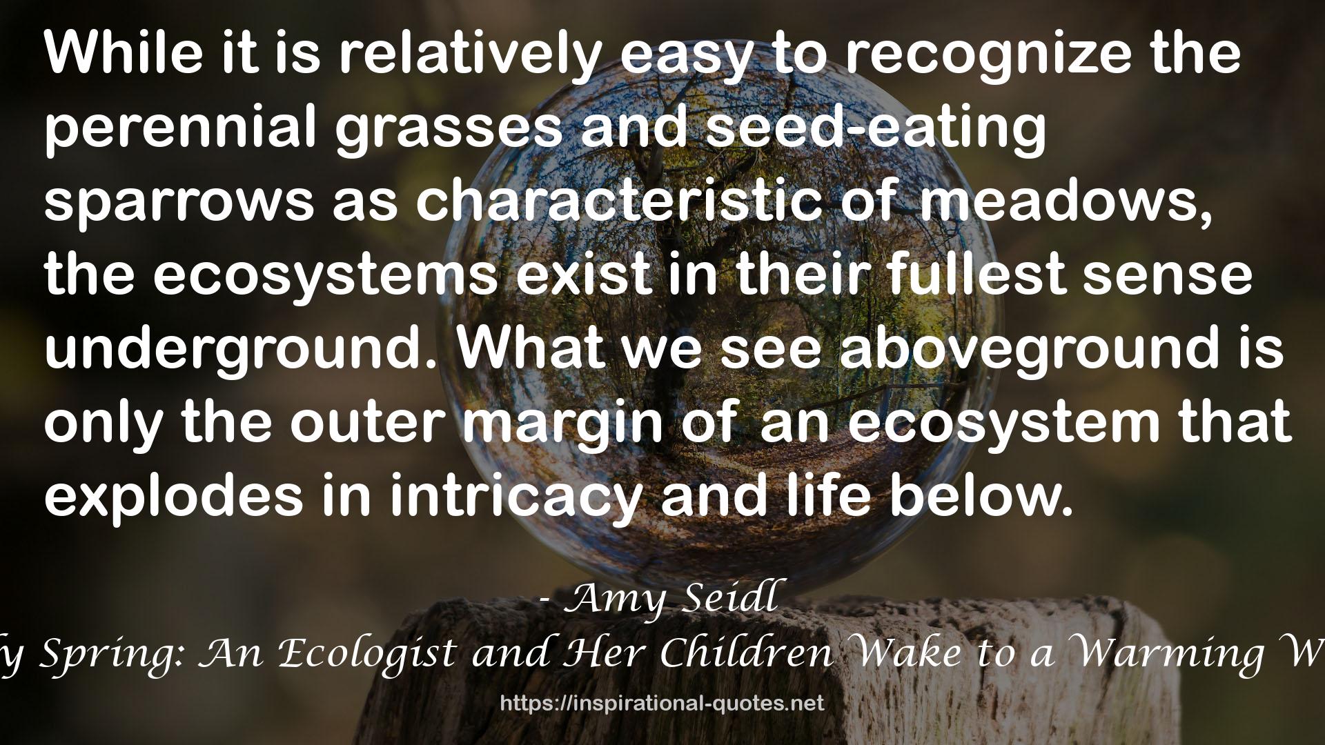 Amy Seidl QUOTES