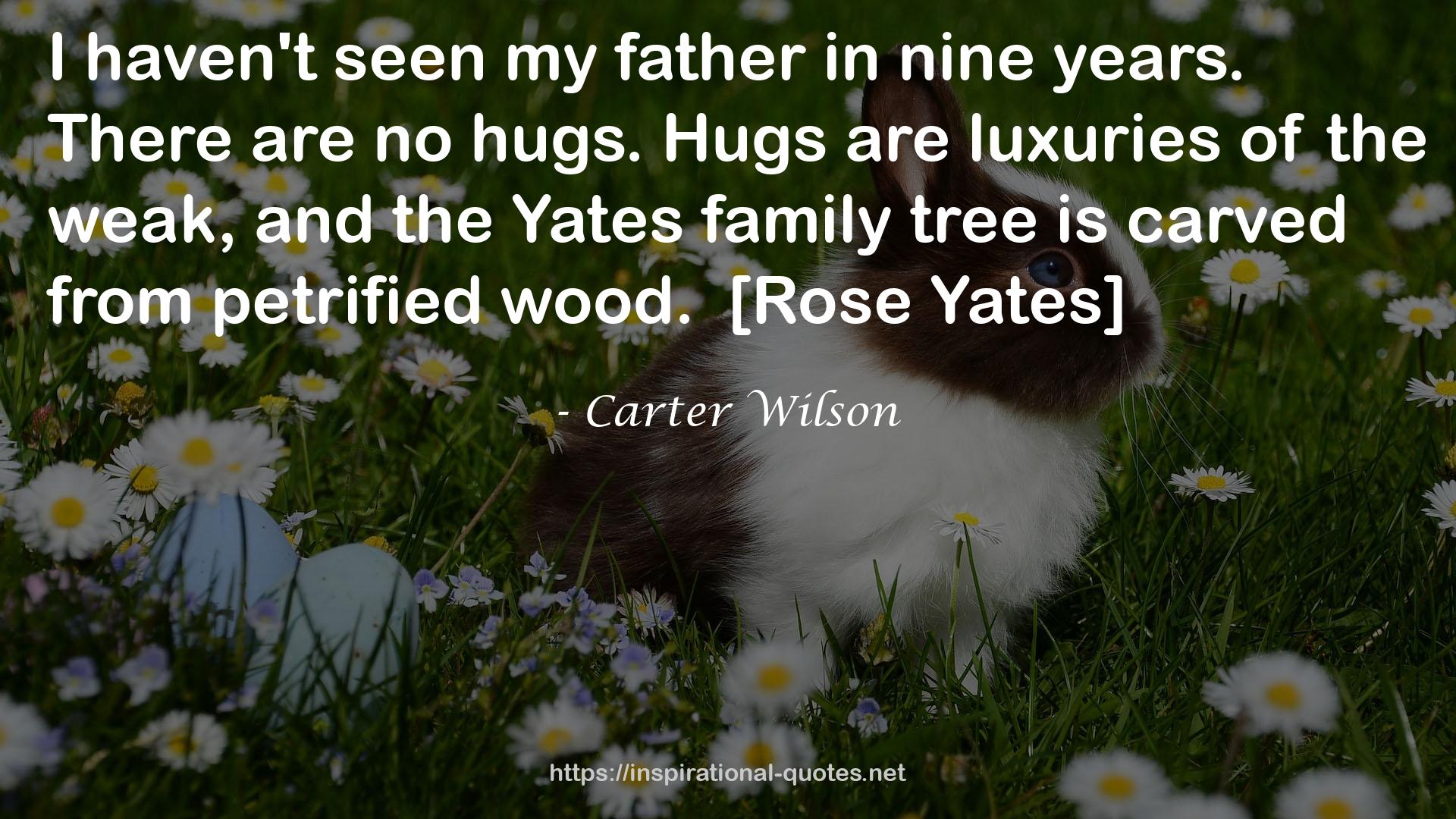 Carter Wilson QUOTES