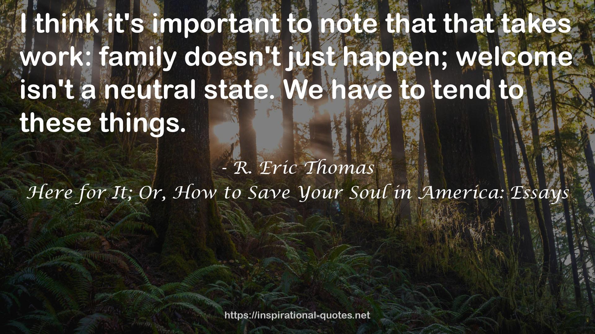 Here for It; Or, How to Save Your Soul in America: Essays QUOTES