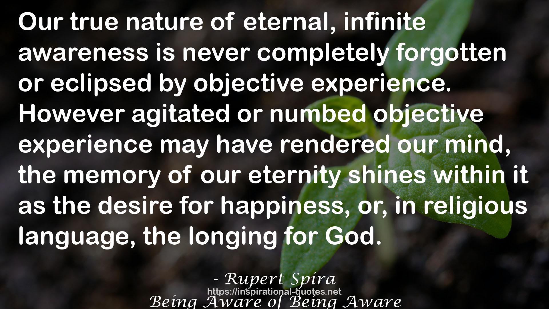 Rupert Spira QUOTES