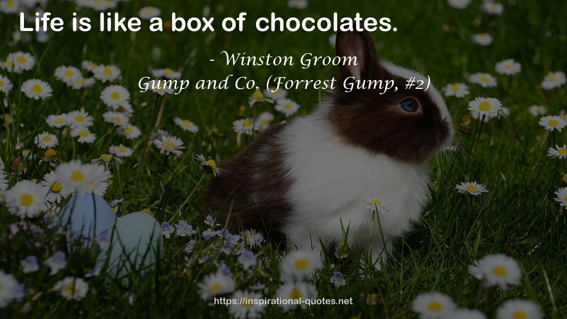 Winston Groom QUOTES