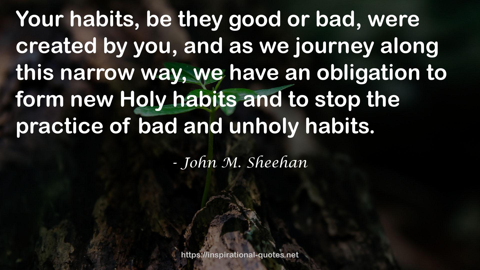 John M. Sheehan QUOTES