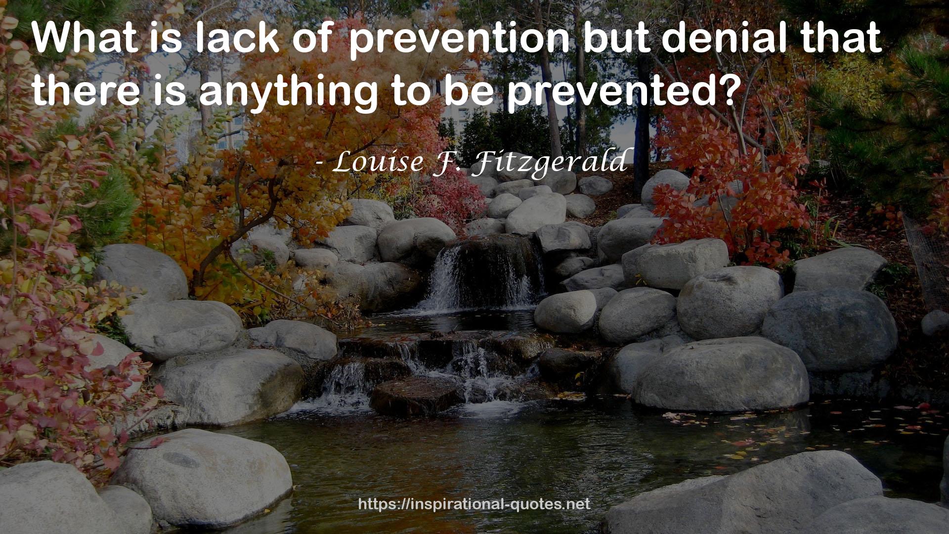 Louise F. Fitzgerald QUOTES