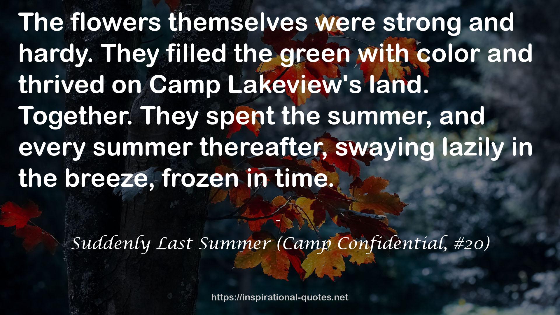 Suddenly Last Summer (Camp Confidential, #20) QUOTES