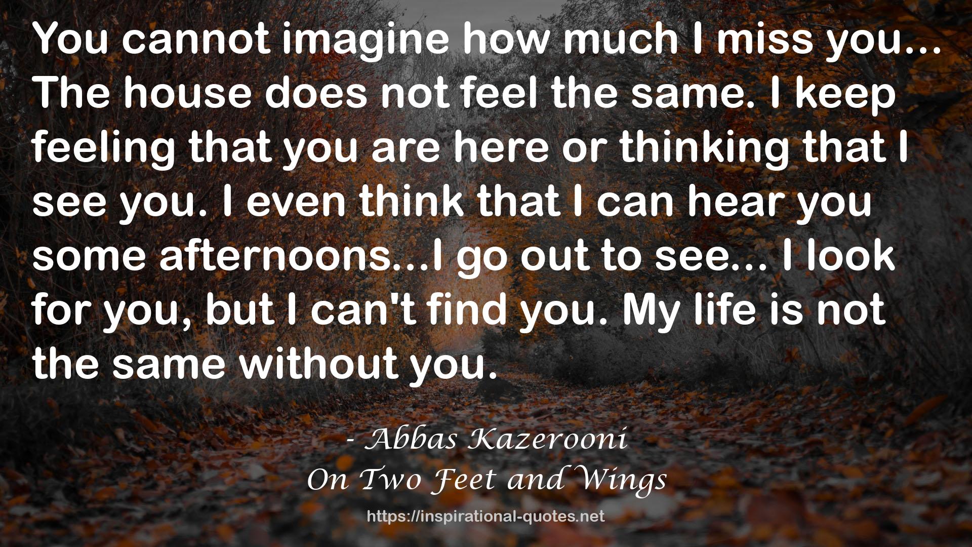 Abbas Kazerooni QUOTES