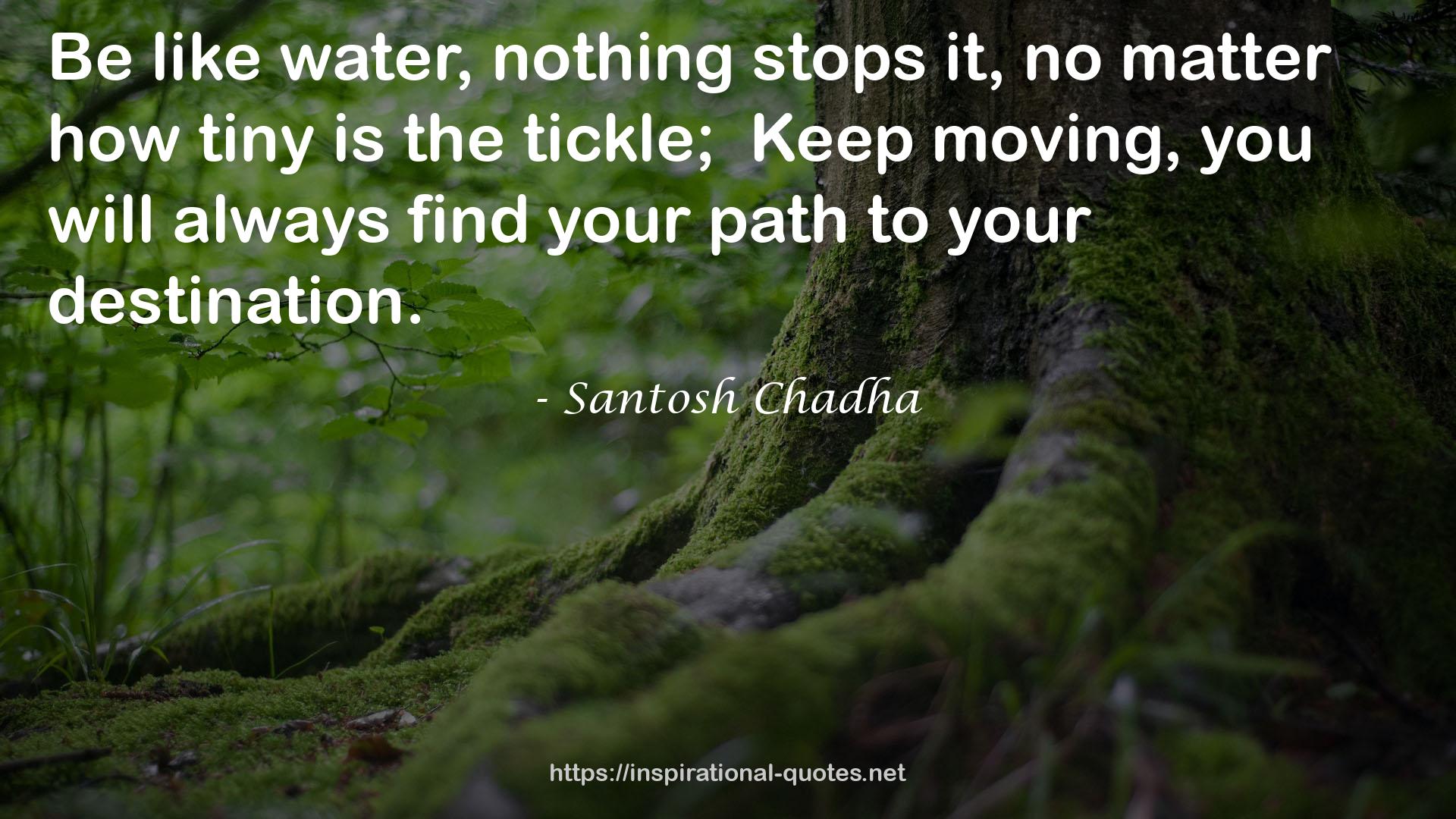 Santosh Chadha QUOTES