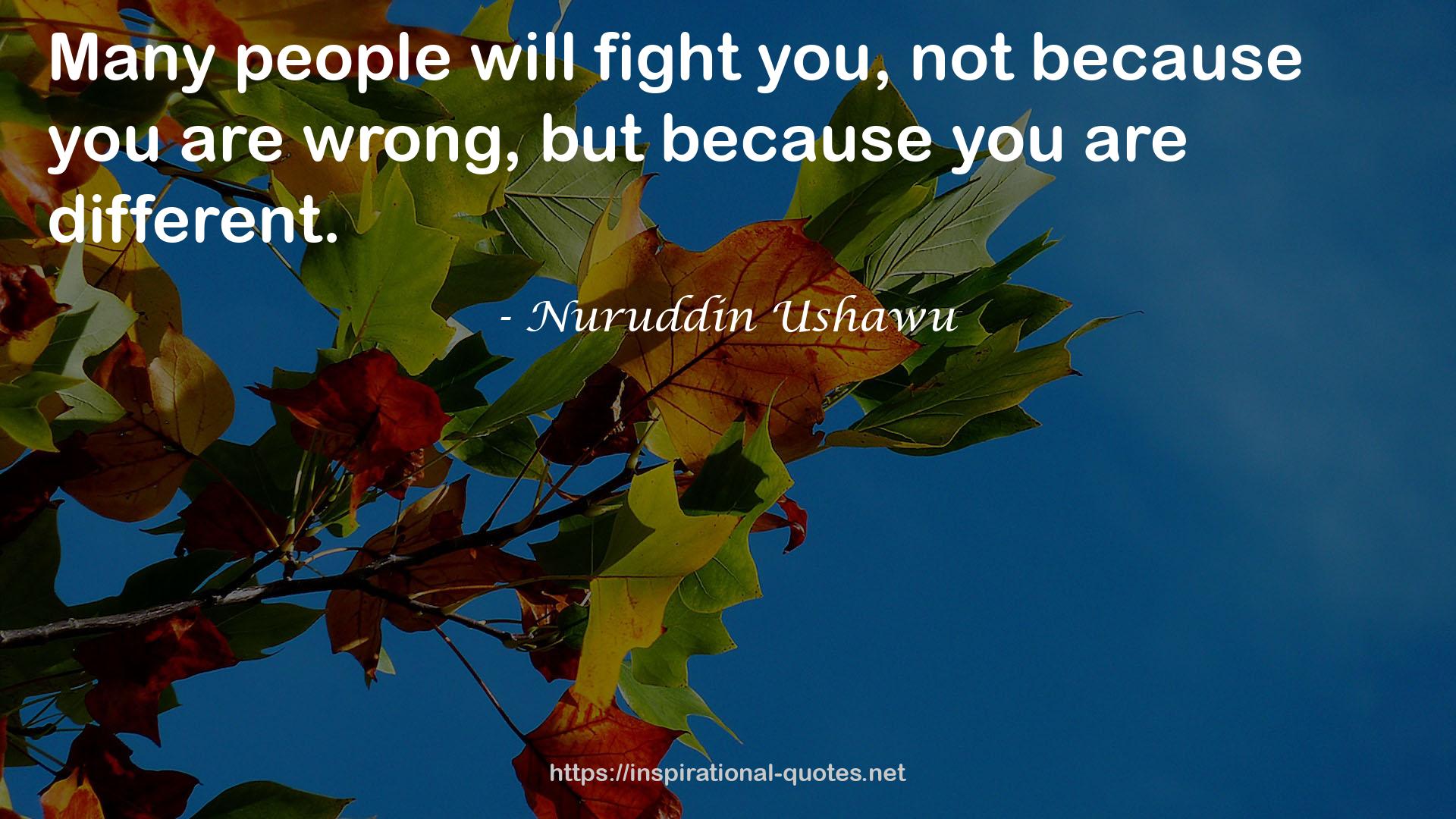 Nuruddin Ushawu QUOTES