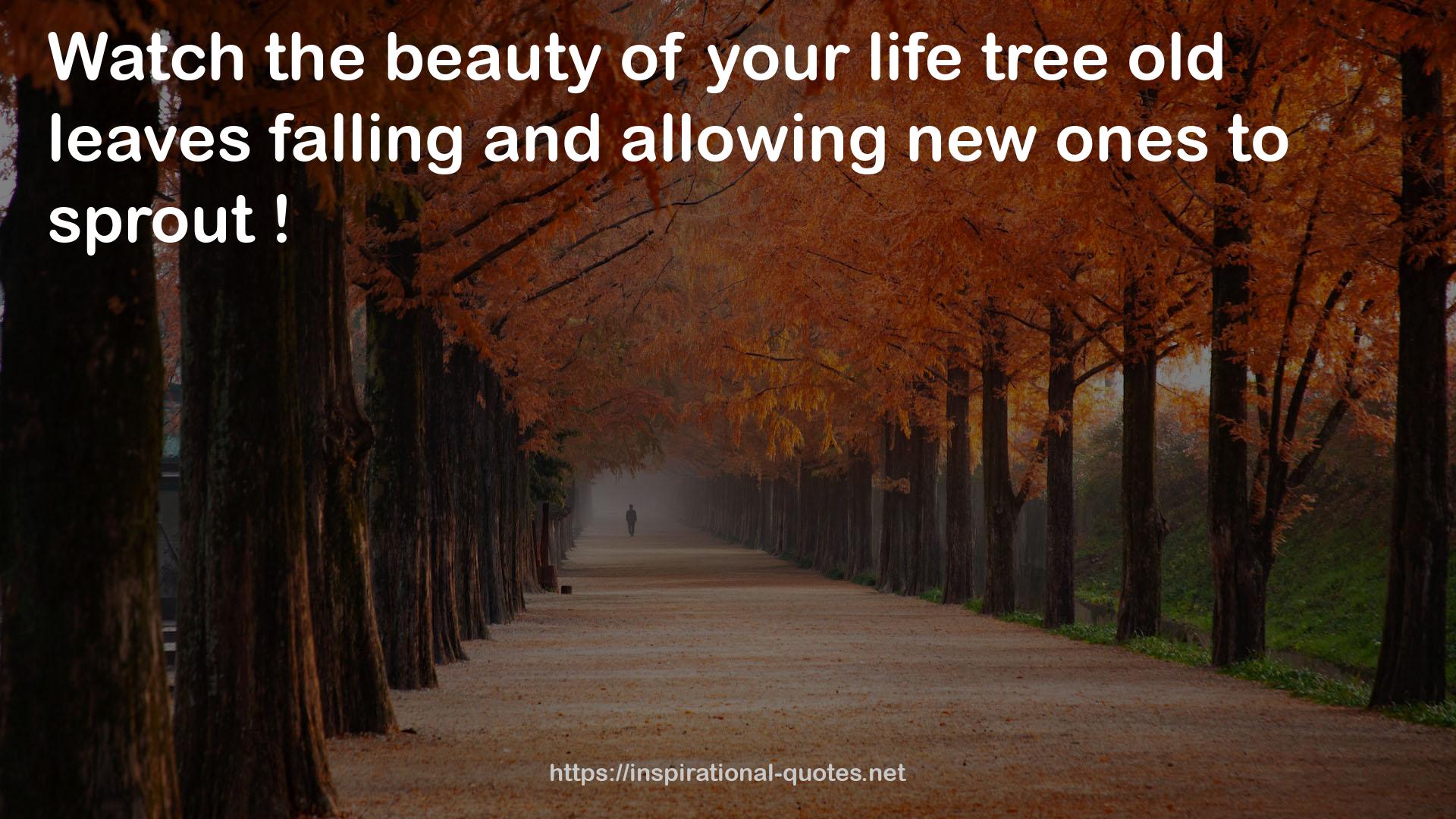 your life tree  QUOTES