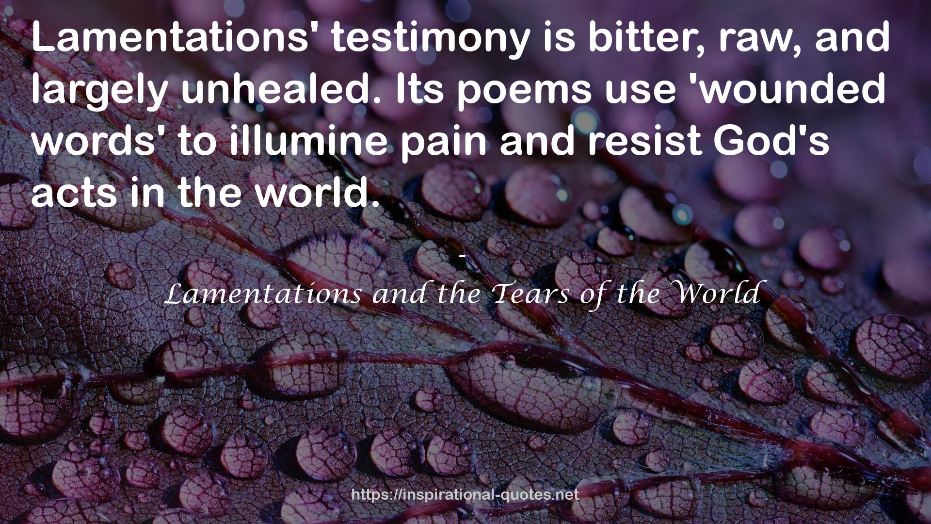 Lamentations and the Tears of the World QUOTES