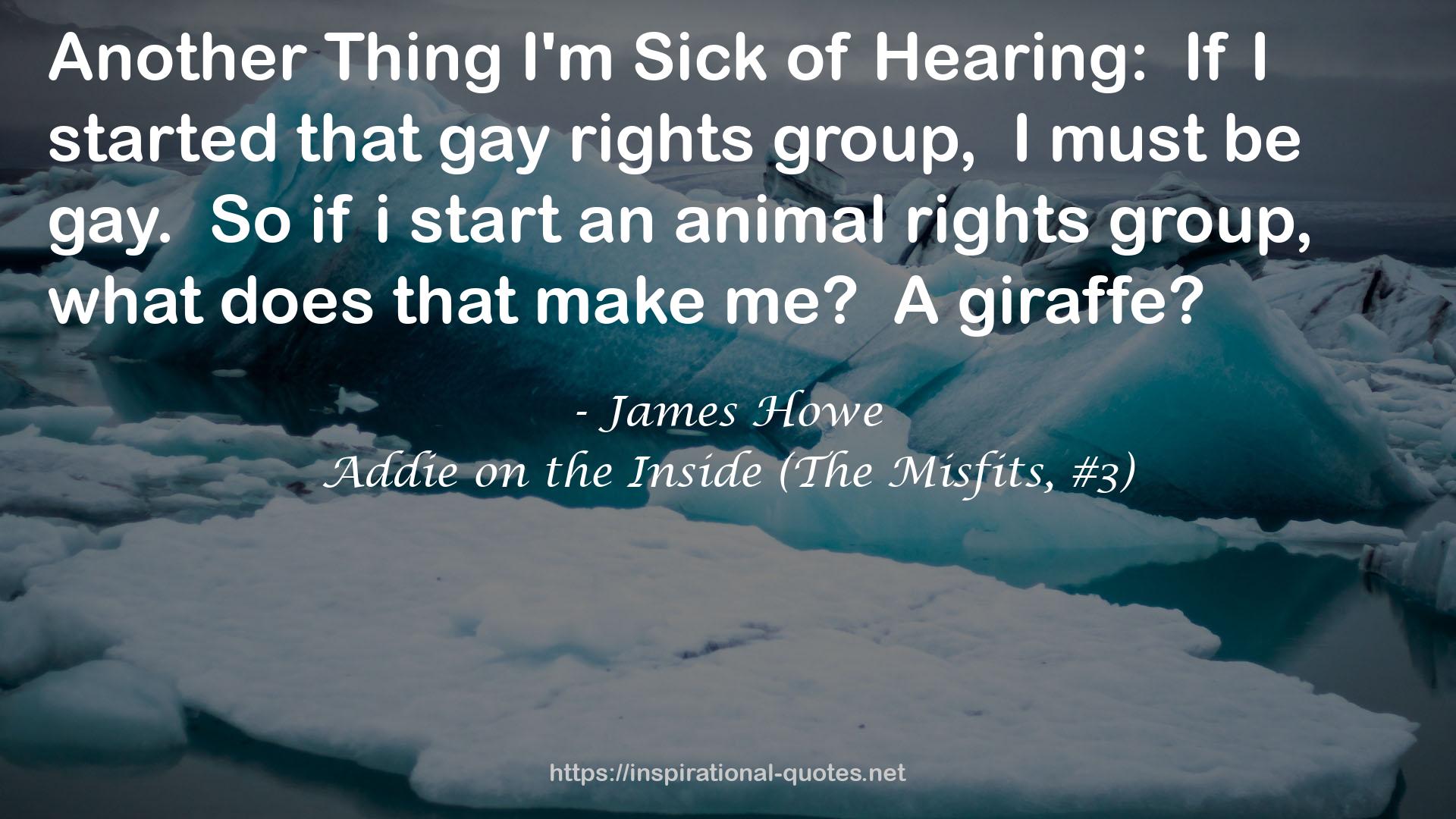 Addie on the Inside (The Misfits, #3) QUOTES