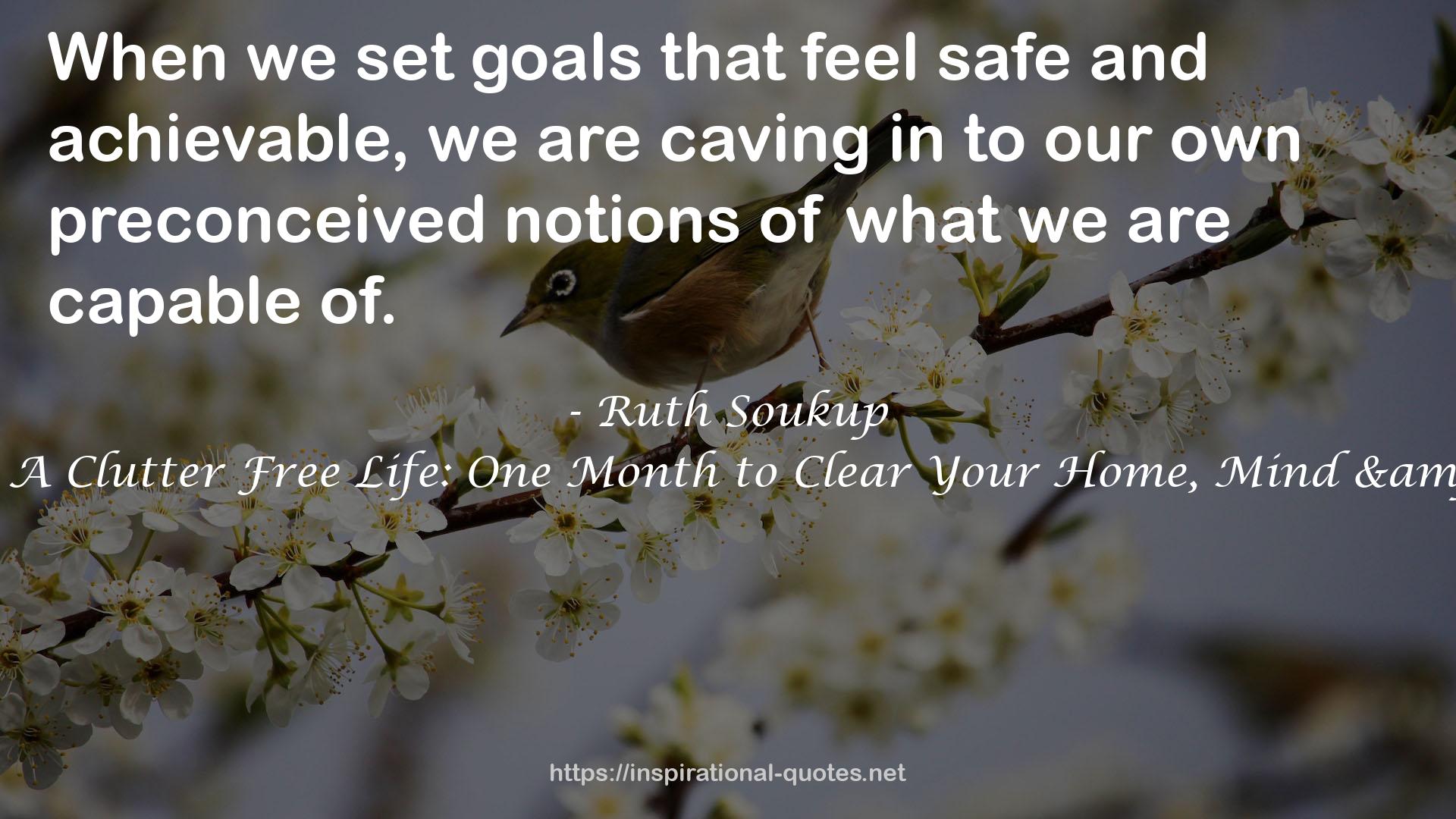 31 Days To A Clutter Free Life: One Month to Clear Your Home, Mind & Schedule QUOTES