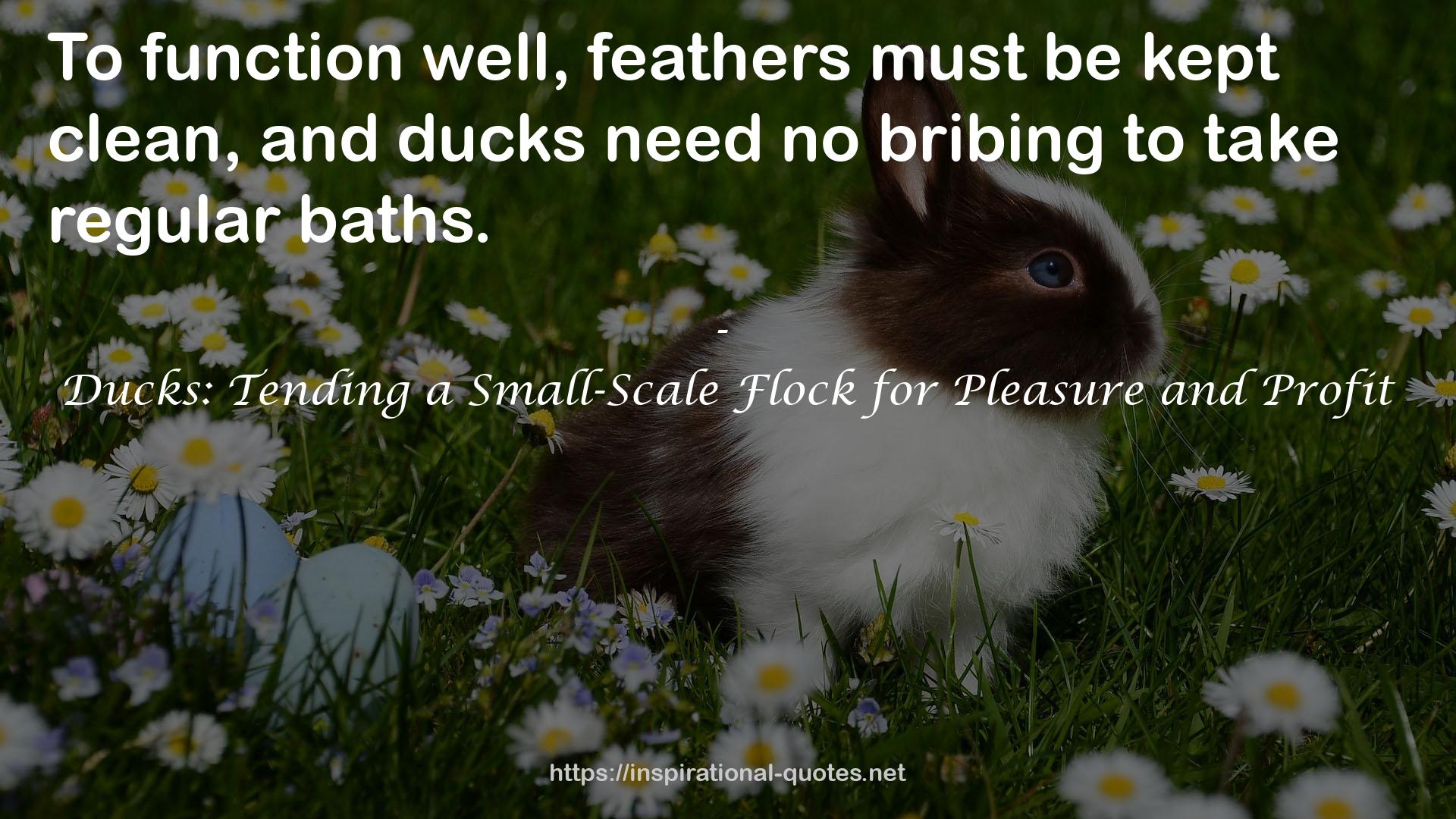 Ducks: Tending a Small-Scale Flock for Pleasure and Profit QUOTES