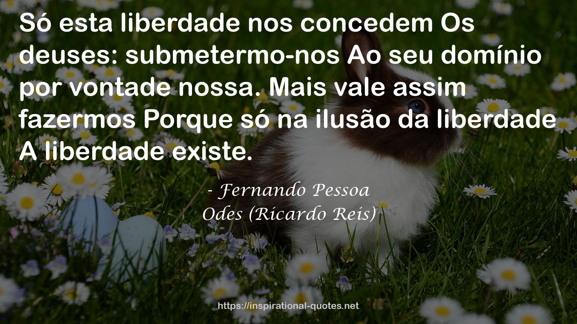 Odes (Ricardo Reis) QUOTES