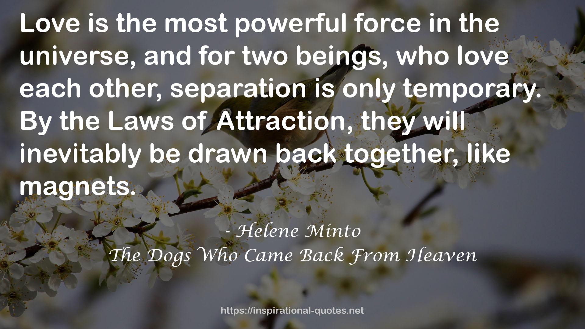 The Dogs Who Came Back From Heaven QUOTES