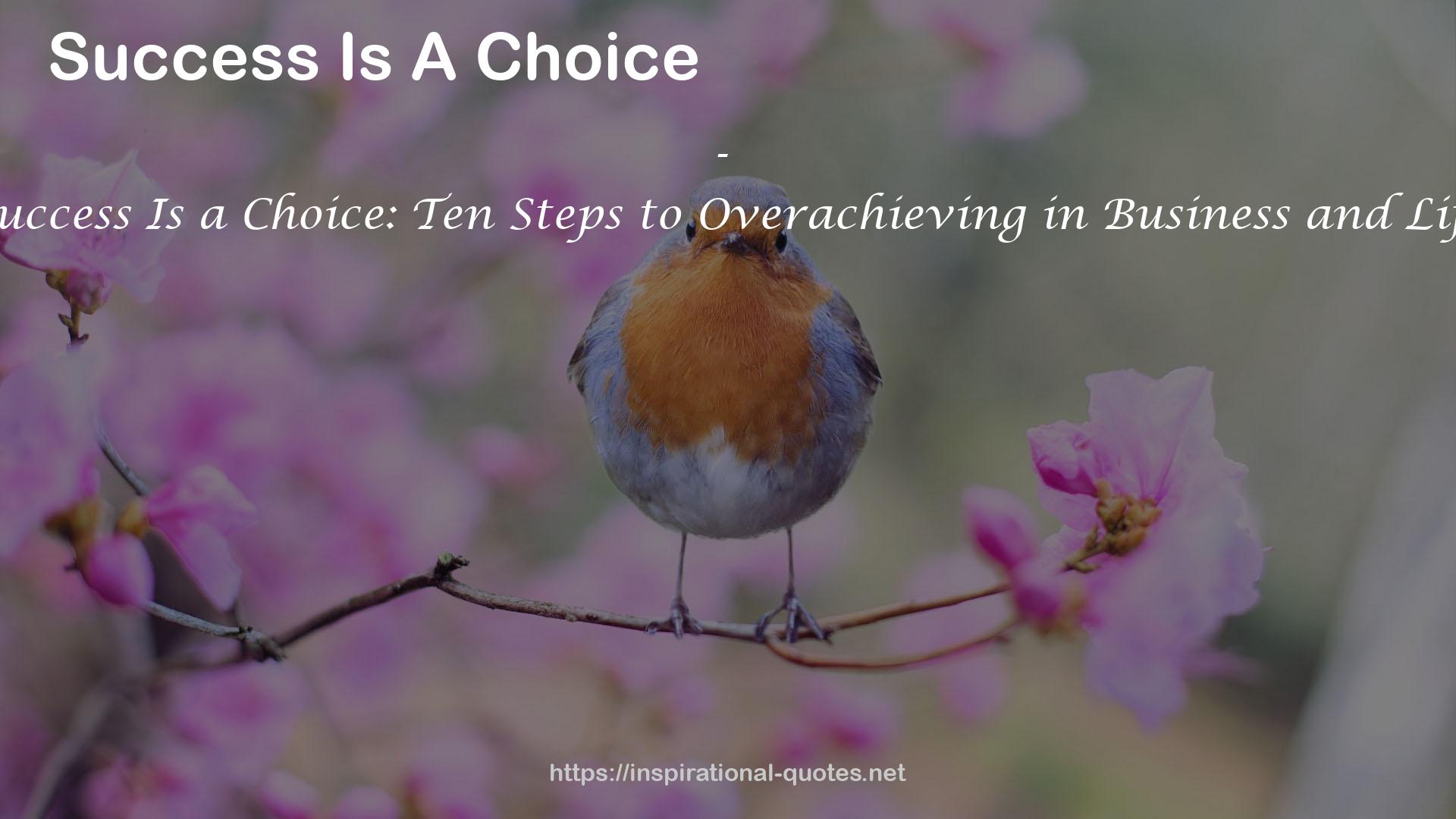 Success Is a Choice: Ten Steps to Overachieving in Business and Life QUOTES
