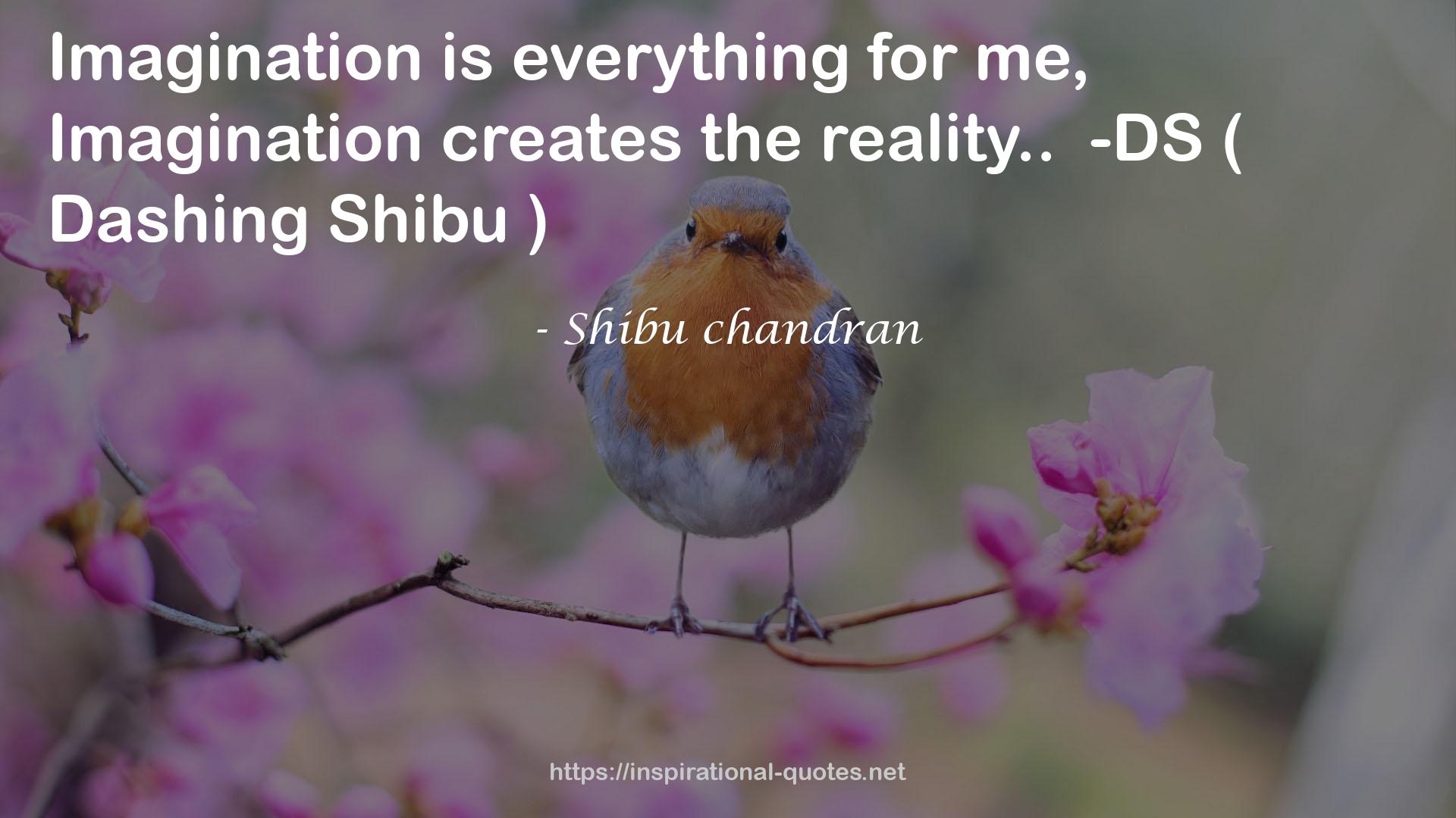 Shibu chandran QUOTES