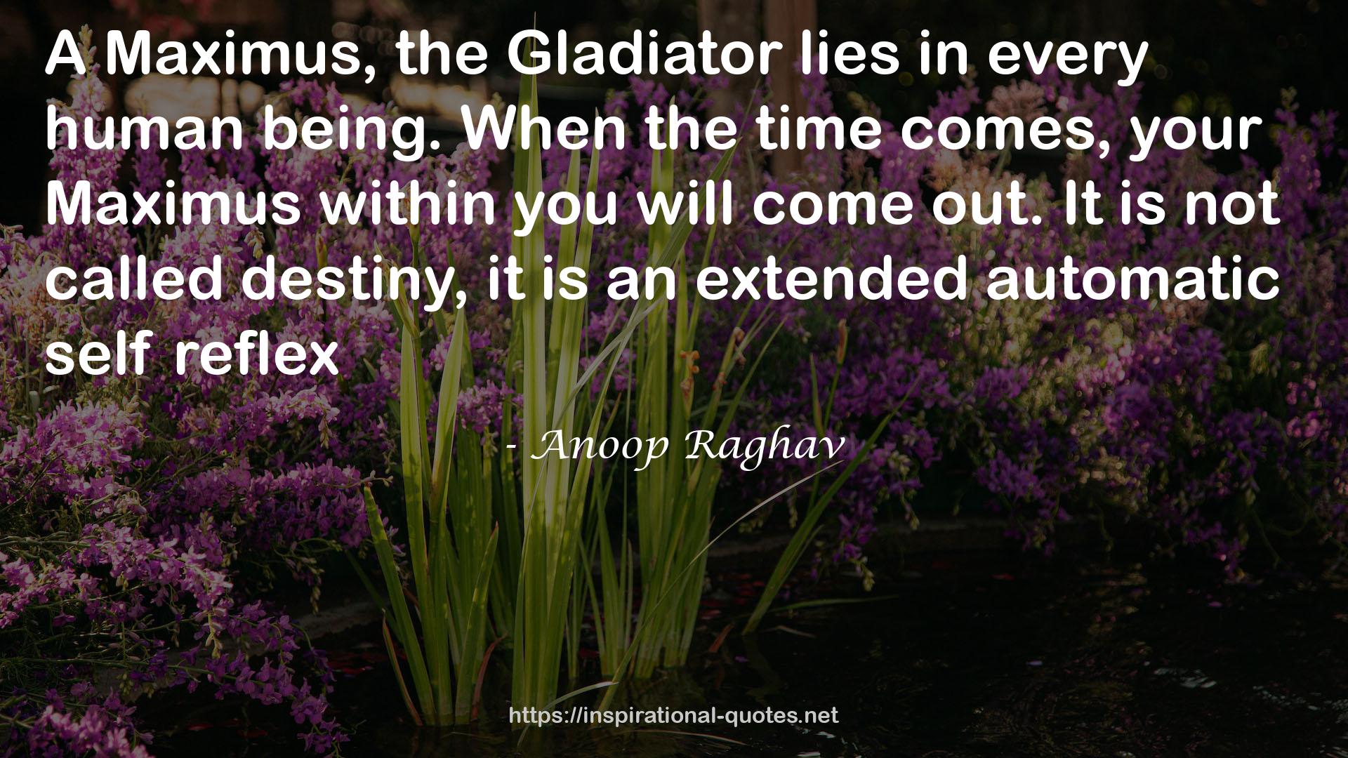 maximus  QUOTES