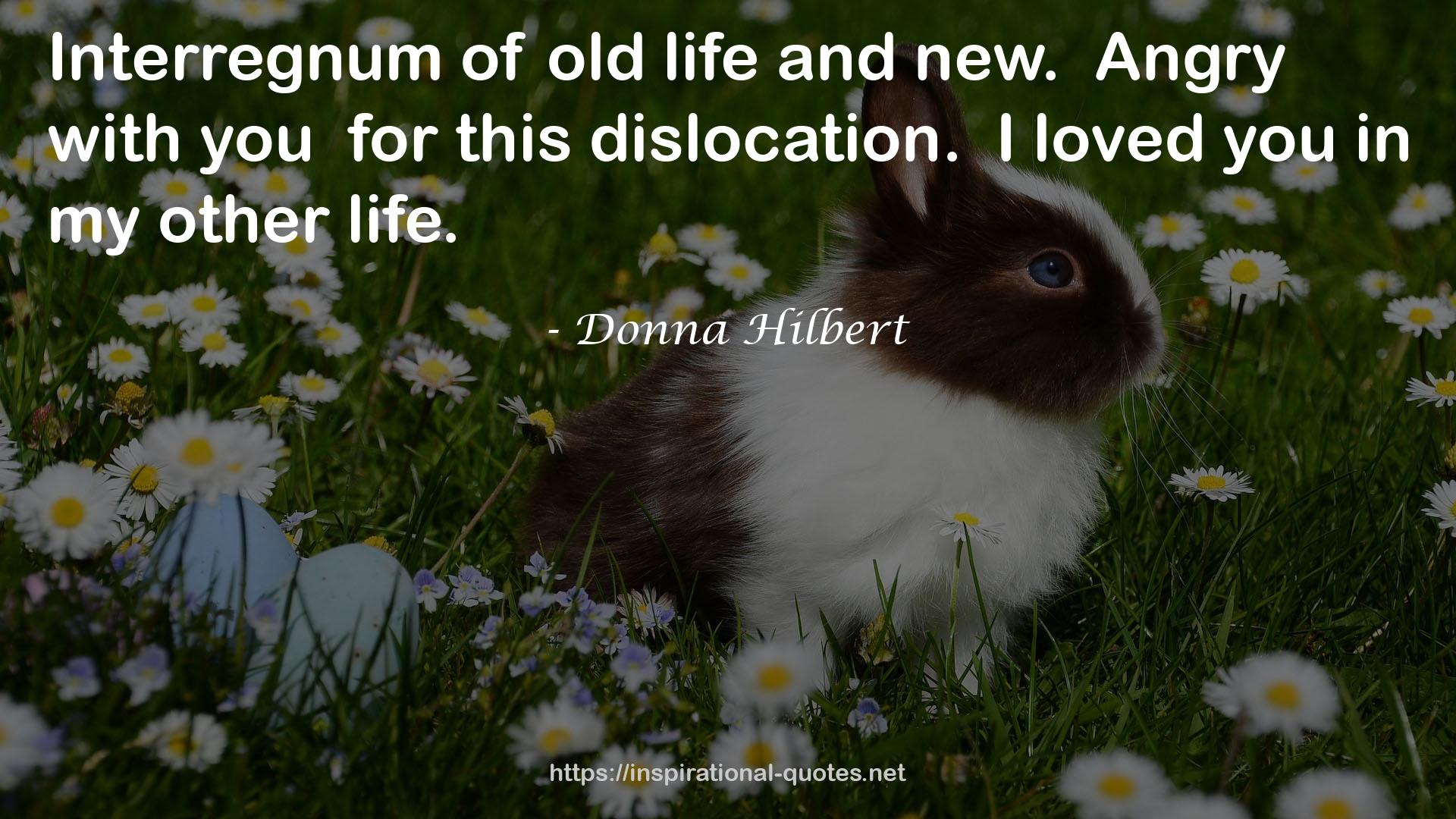 Donna Hilbert QUOTES
