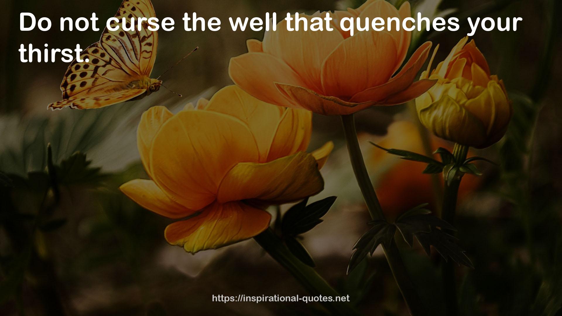 quenches  QUOTES