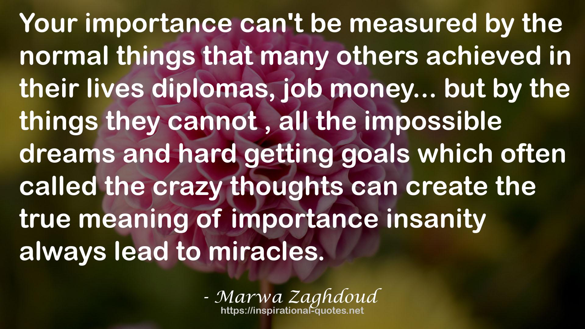 Marwa Zaghdoud QUOTES