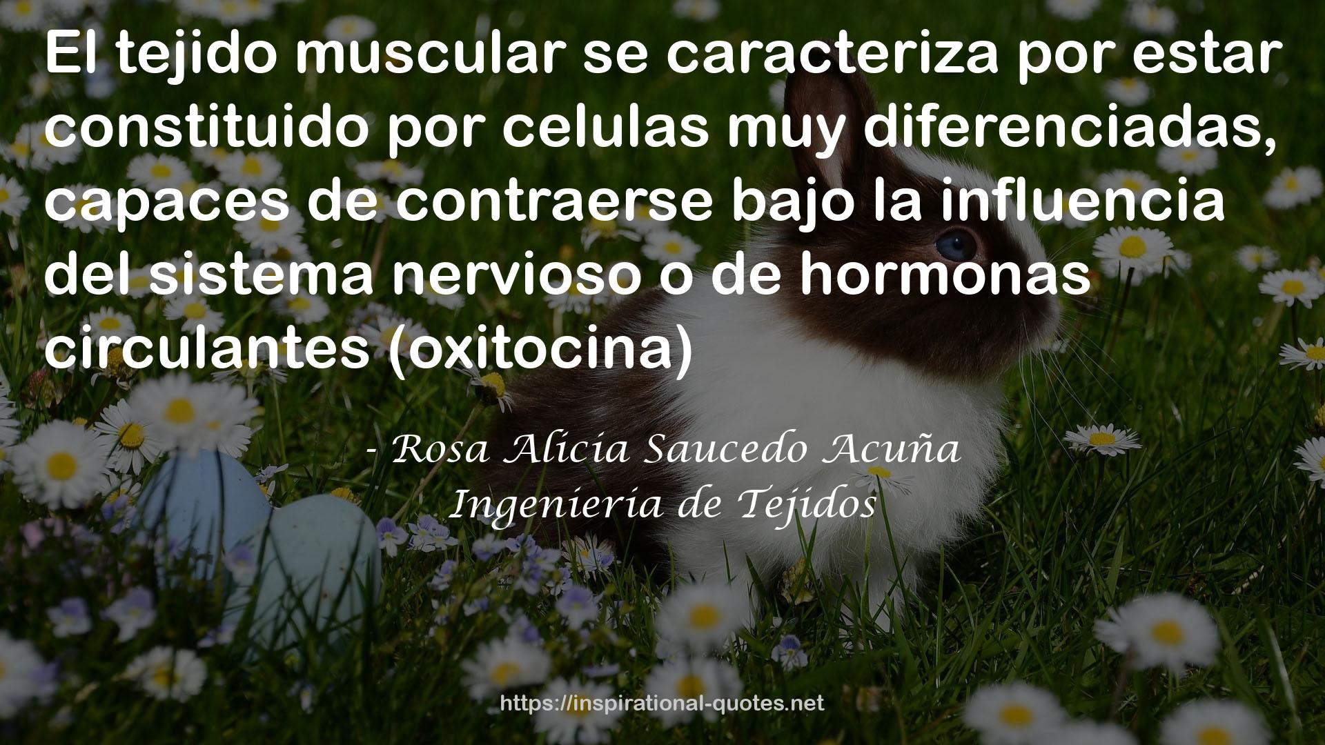 Rosa Alicia Saucedo Acuña QUOTES