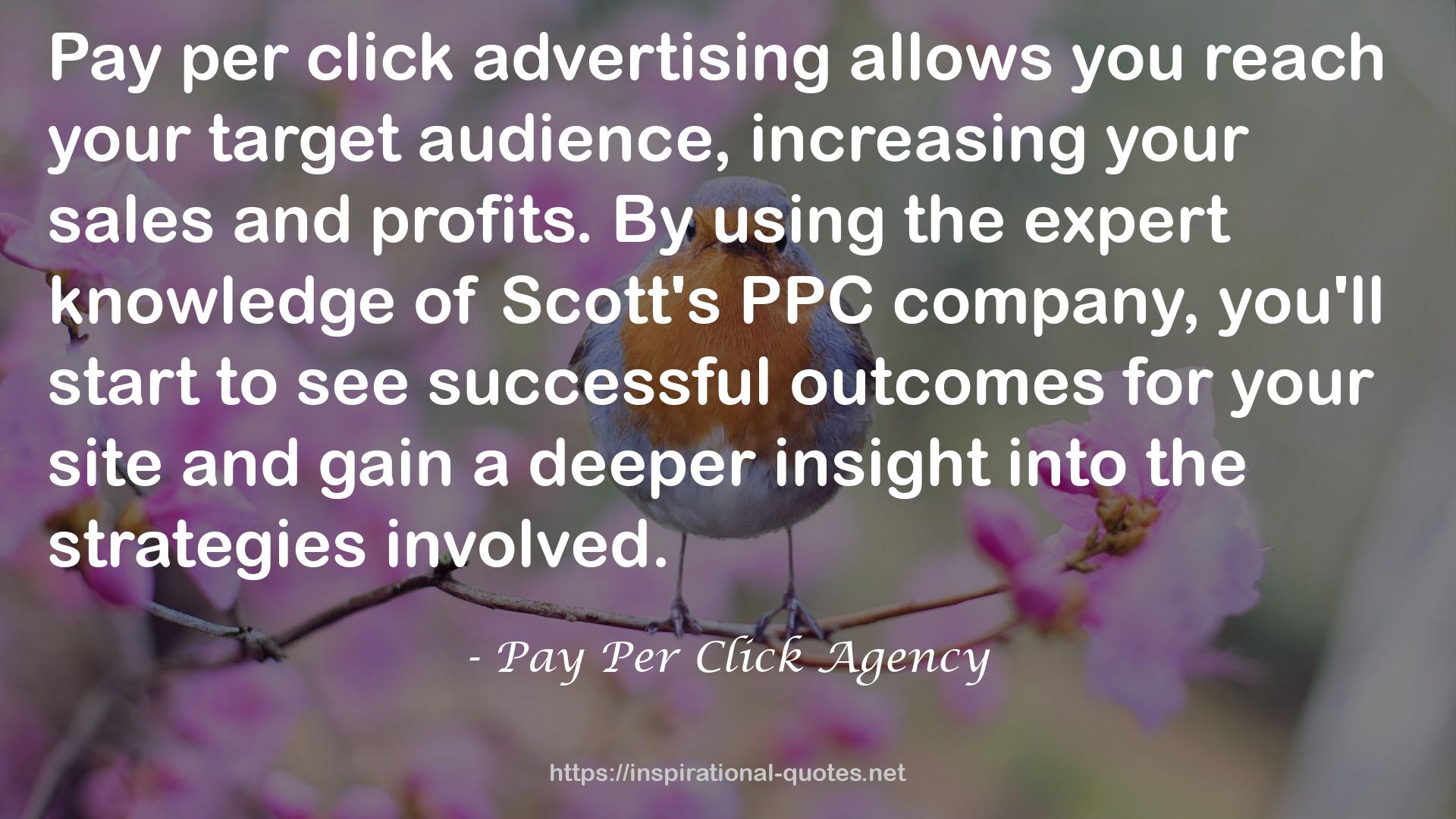 Pay Per Click Agency QUOTES