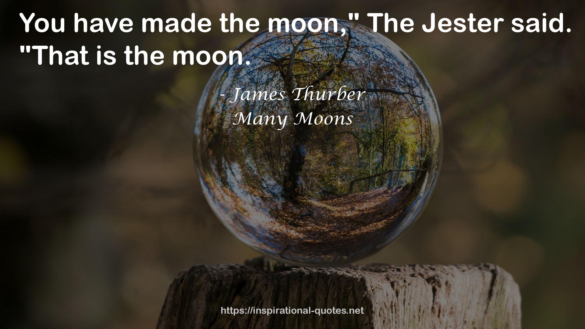 Many Moons QUOTES