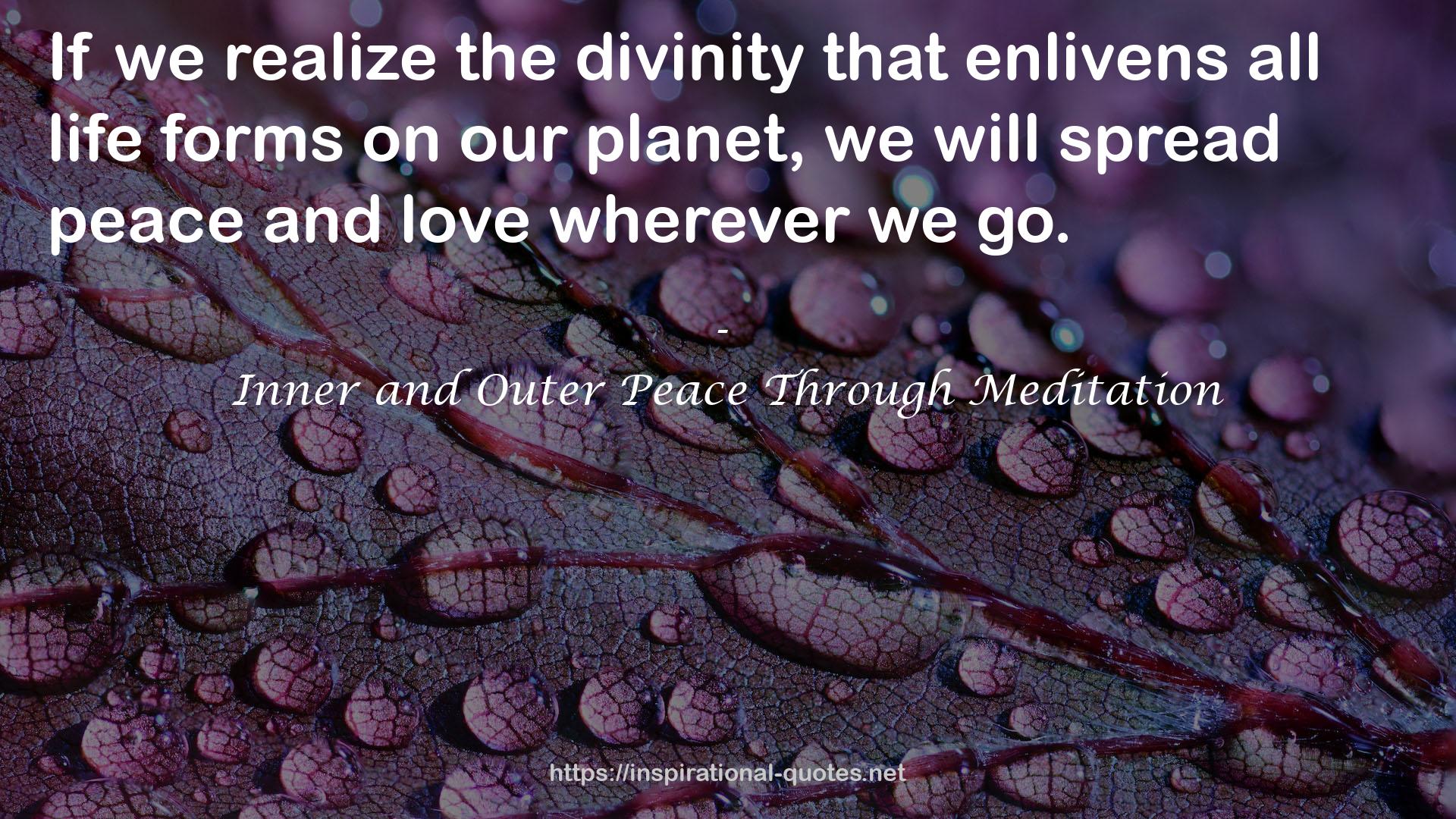 Inner and Outer Peace Through Meditation QUOTES