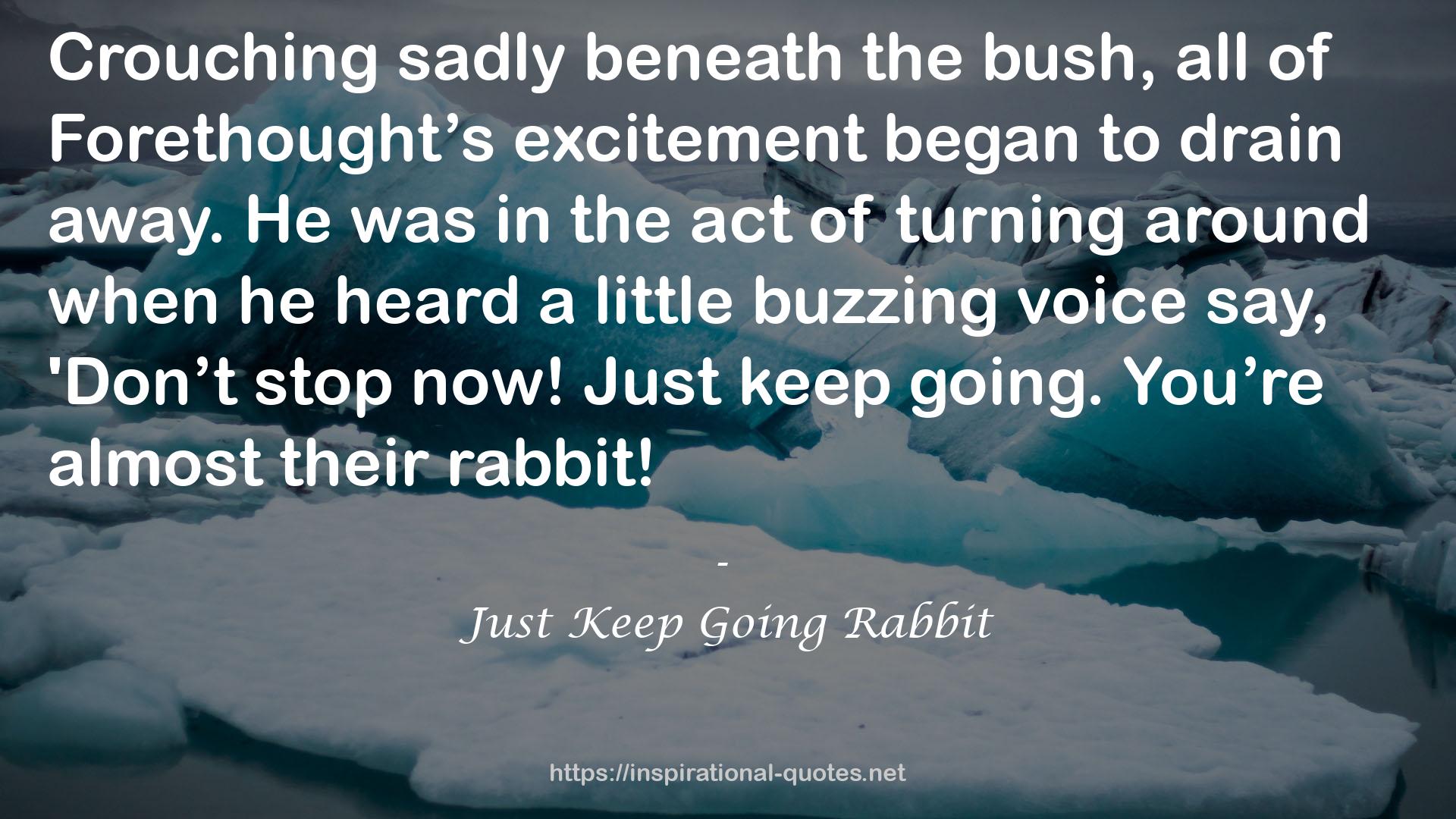 Just Keep Going Rabbit QUOTES