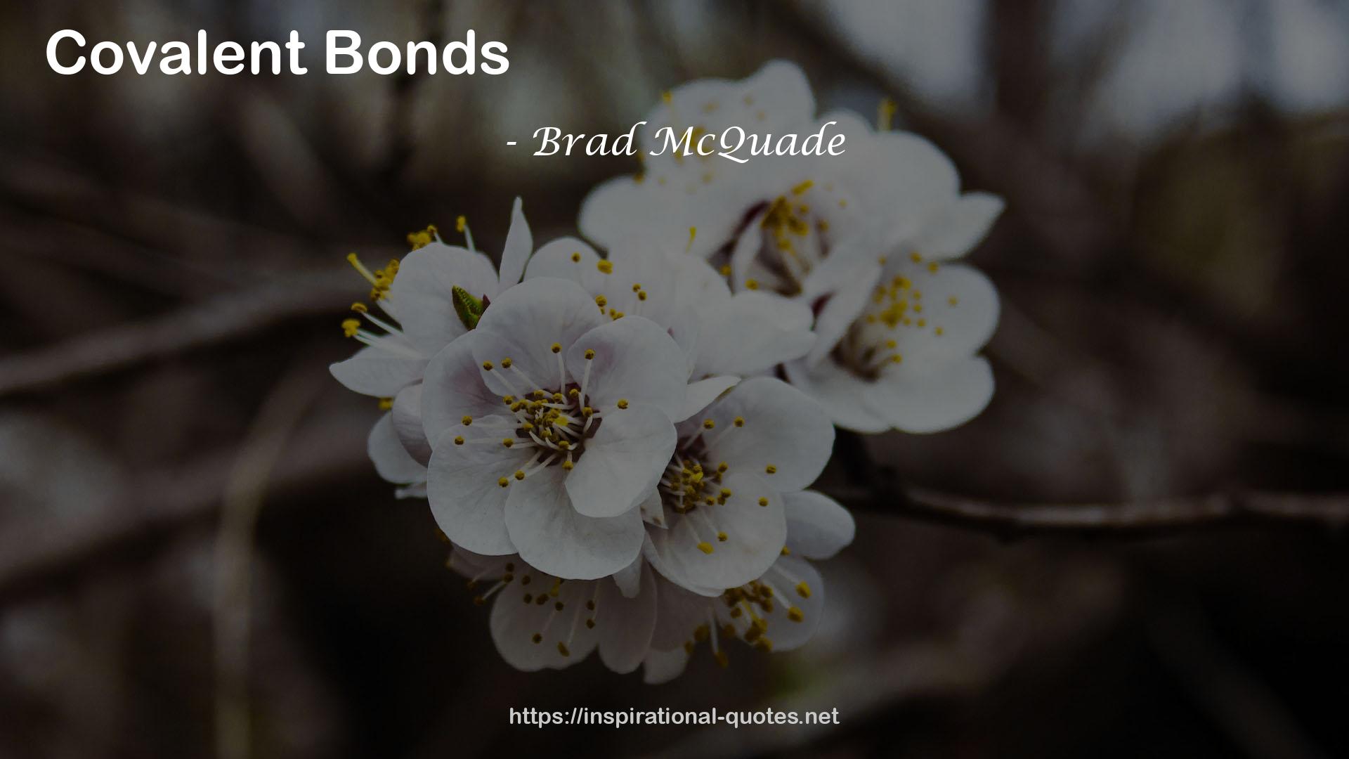 Brad McQuade QUOTES