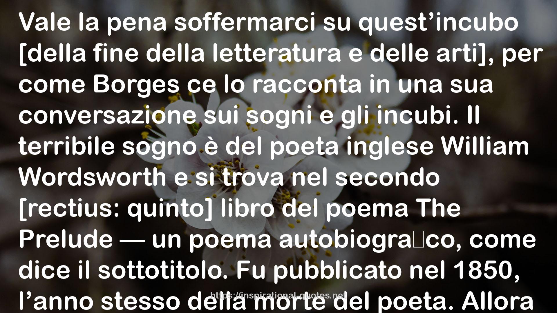 Ore di Spagna QUOTES