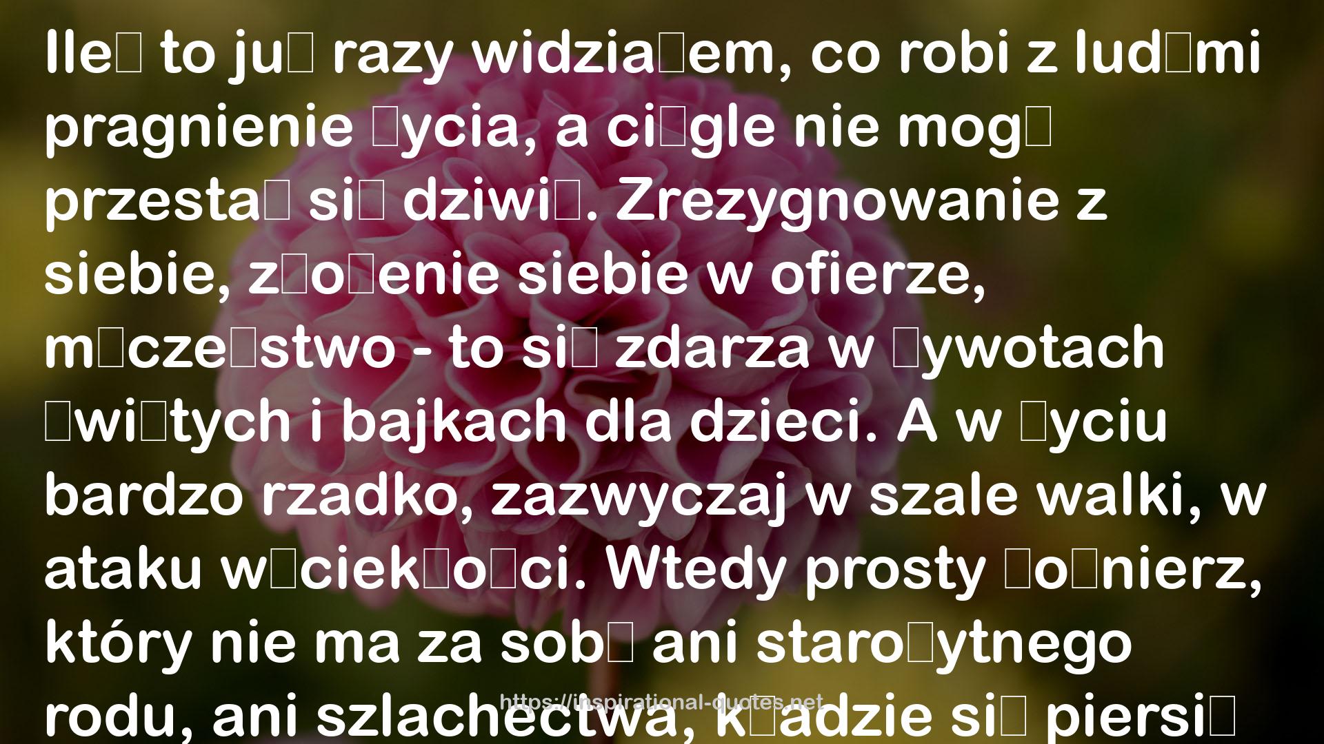 Близится утро (Искатели неба, #2) QUOTES