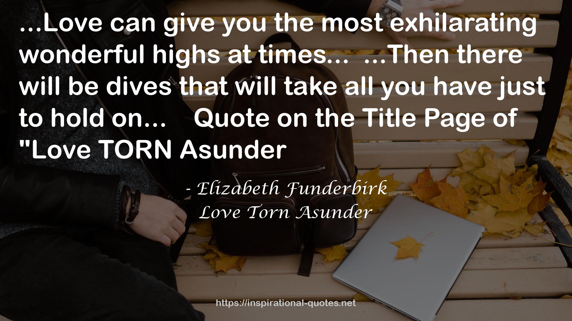 Love Torn Asunder QUOTES