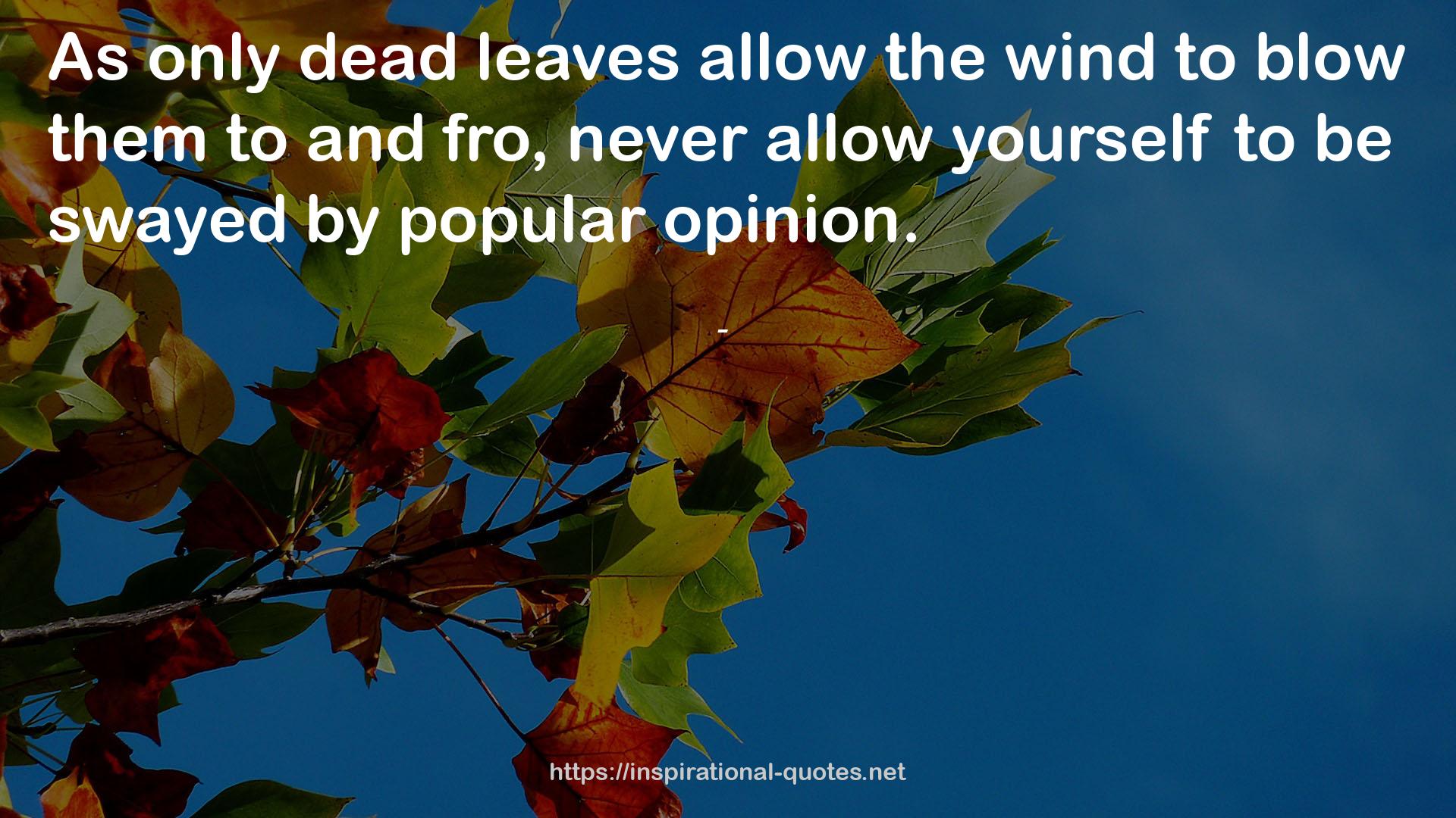 Only dead leaves  QUOTES
